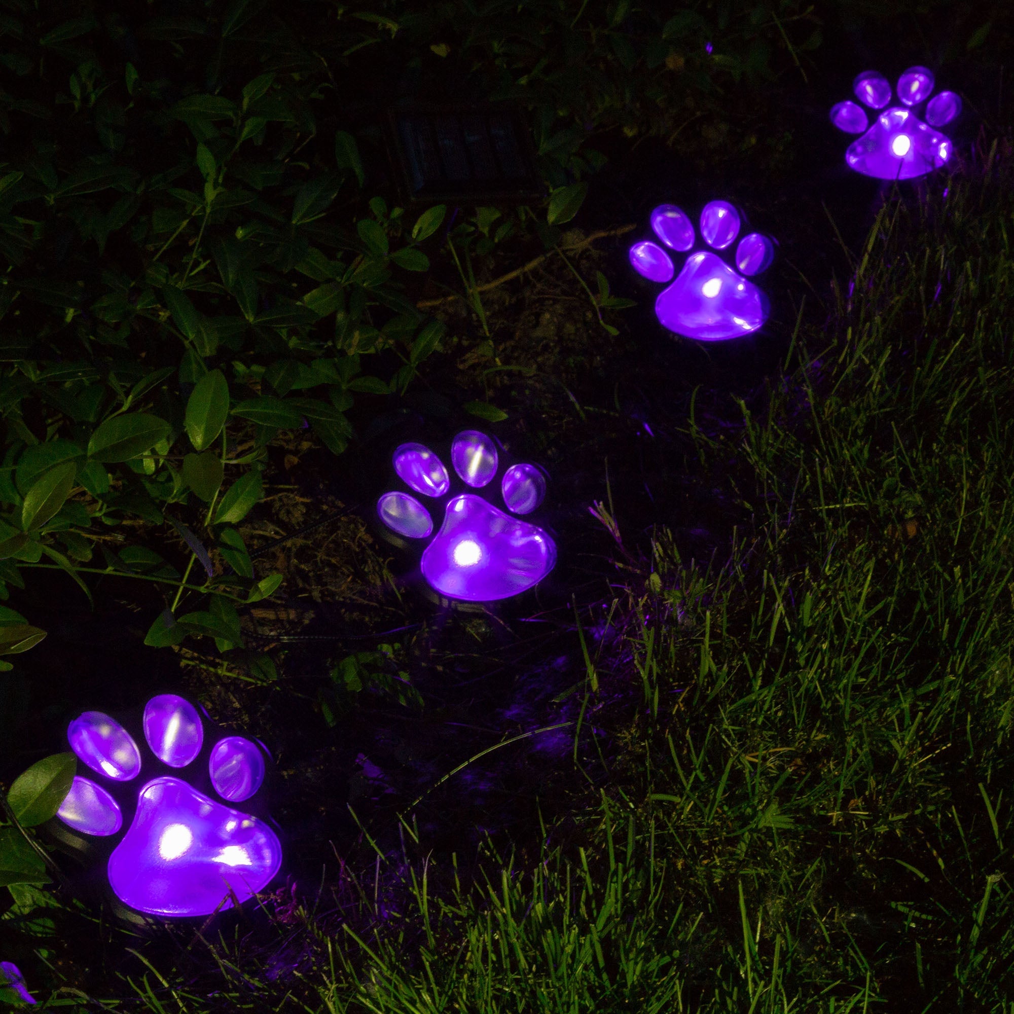 Ultimate Paw Print Solar Garden Lights Set
