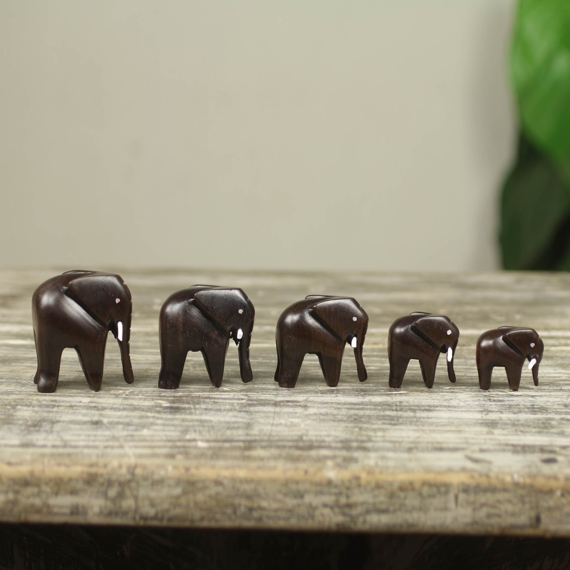 Premium Elephant Family Sculpture Set - Handcrafted Ebony Wood Art (5 Pieces)