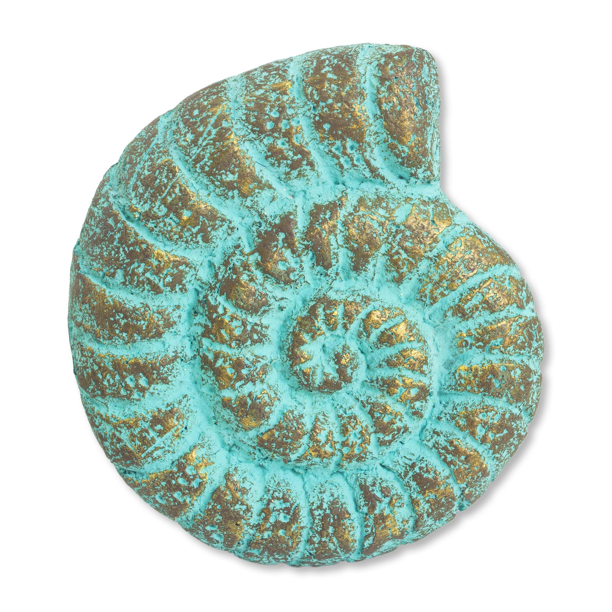 Premium Fossilized Nautilus Wall Art - Handmade Eco-Friendly Sculpture