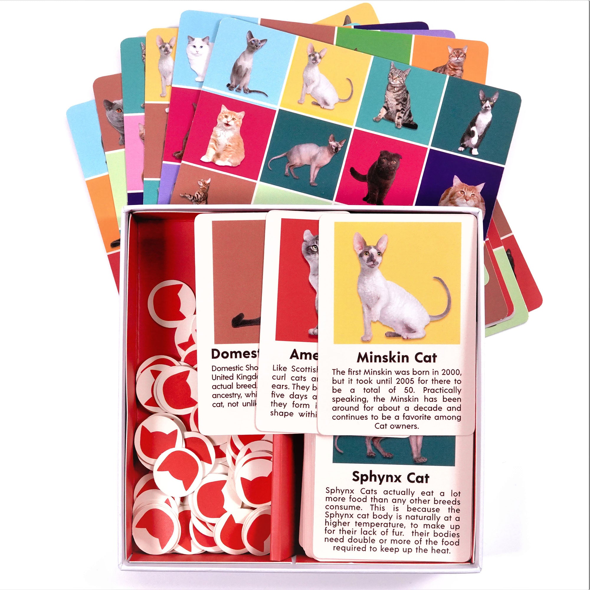 Ultimate Pet Bingo Game: Let's Play with Cats & Dogs
