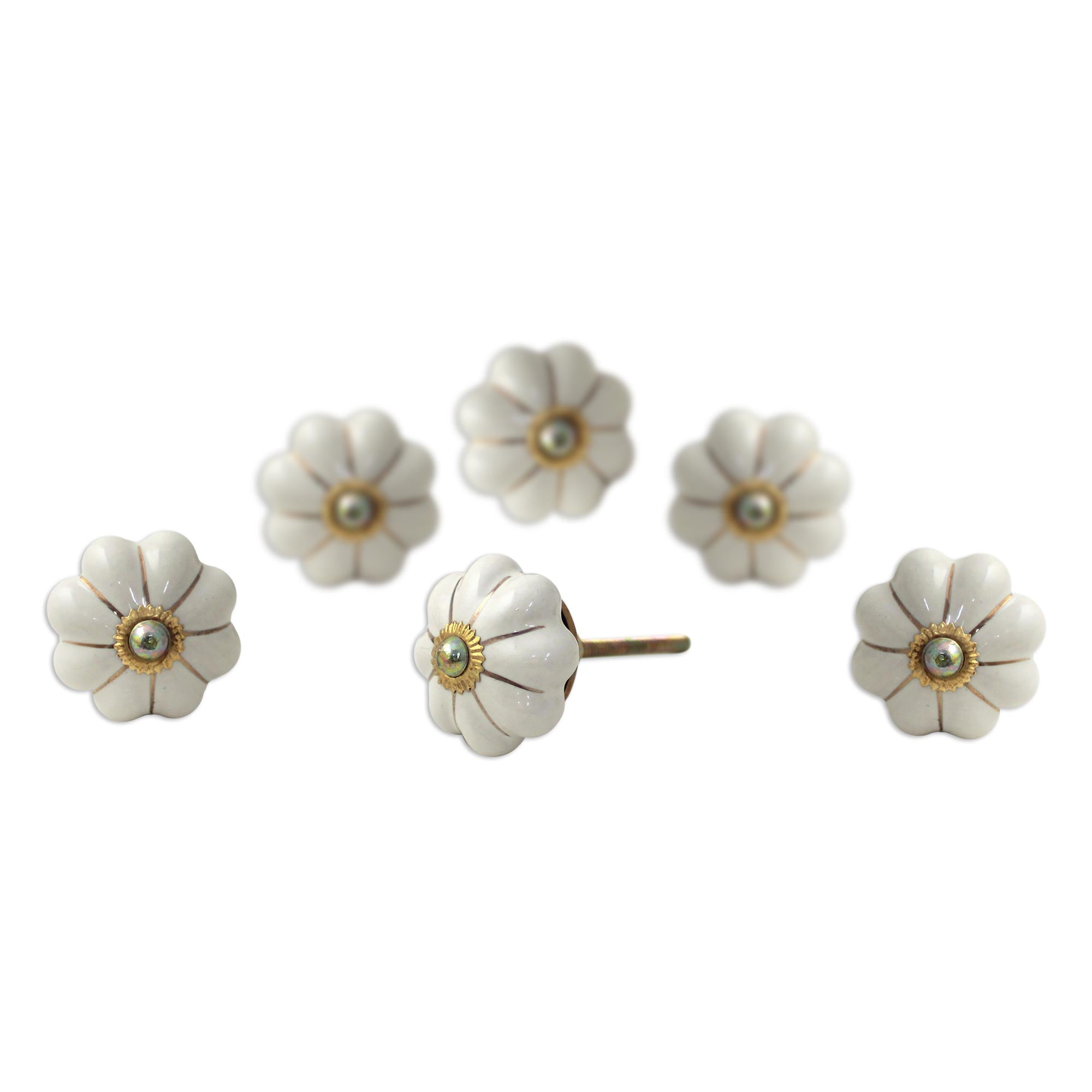 Premium Ceramic Floral Cabinet Knobs - Handcrafted Off-White Set of 6