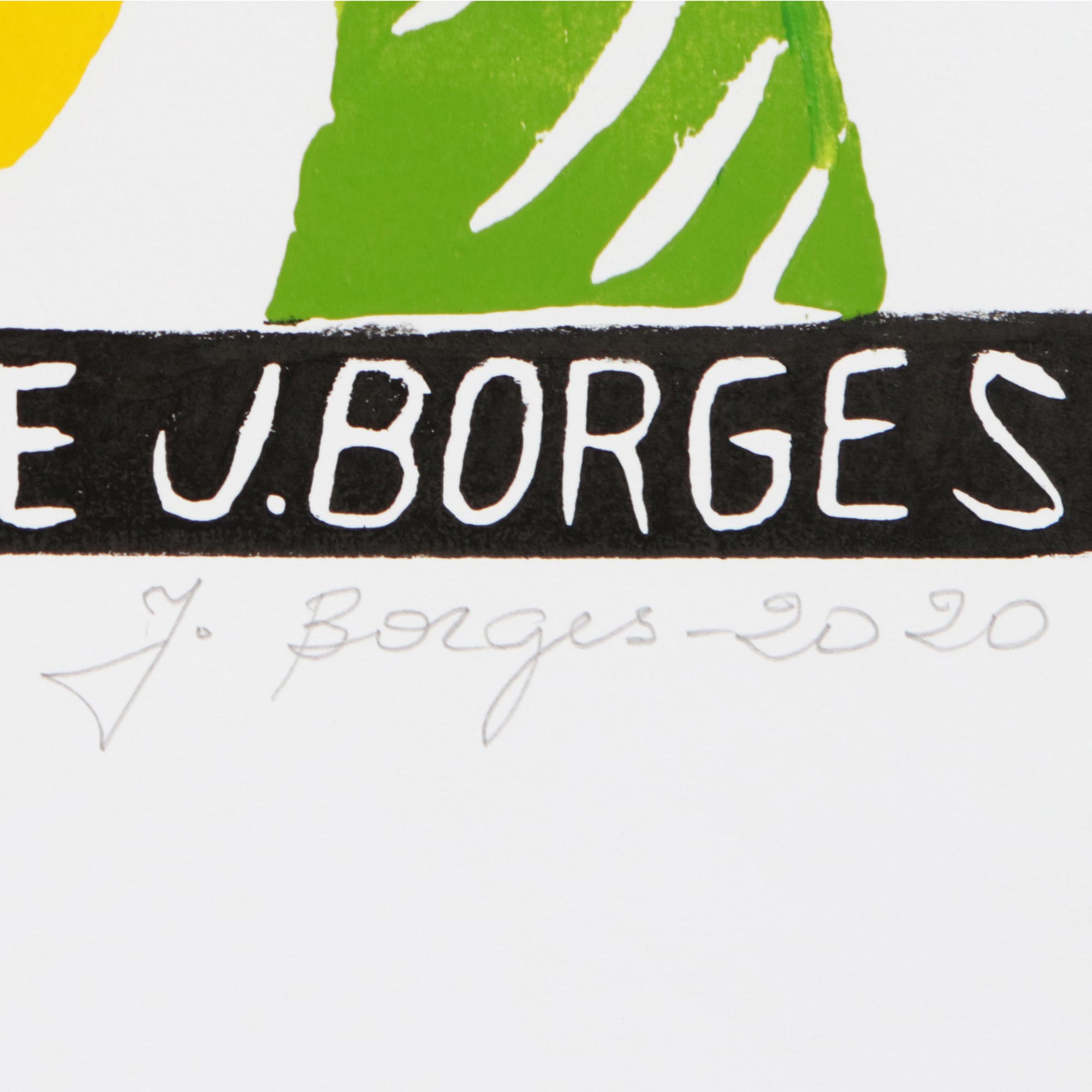 Premium Tropical Fruit Woodcut Print by J. Borges - Vibrant Brazil Artwork