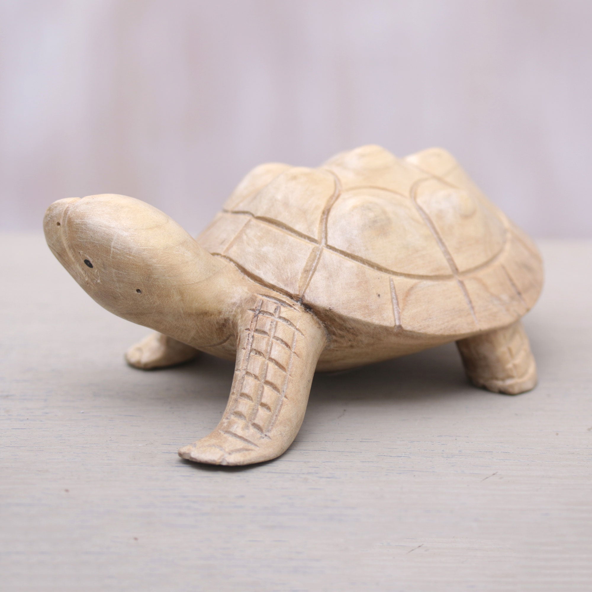 Premium Hand-Carved Terrapin Turtle Statue - Authentic Bali Artisan Craft
