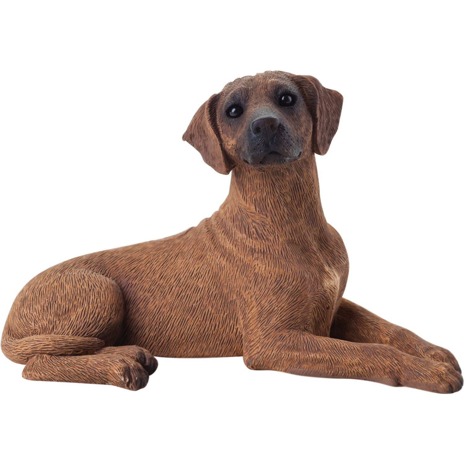 Premium Rhodesian Ridgeback Sculpture - Handcrafted Realism