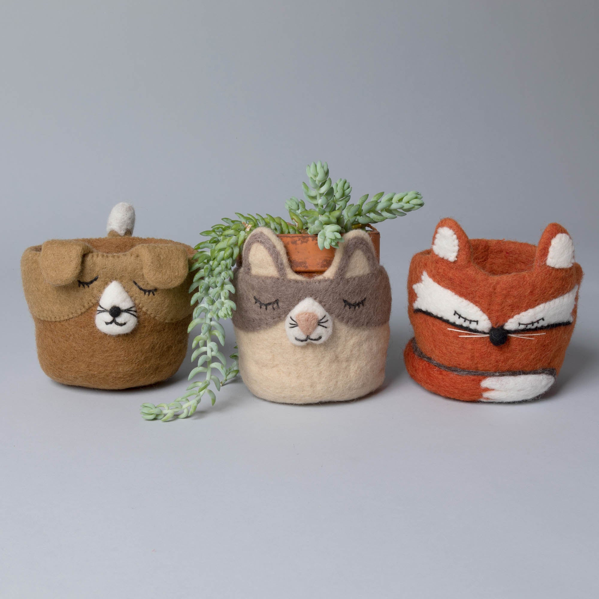 Premium Hand-Felted Animal Planter - Cozy Plant Holder