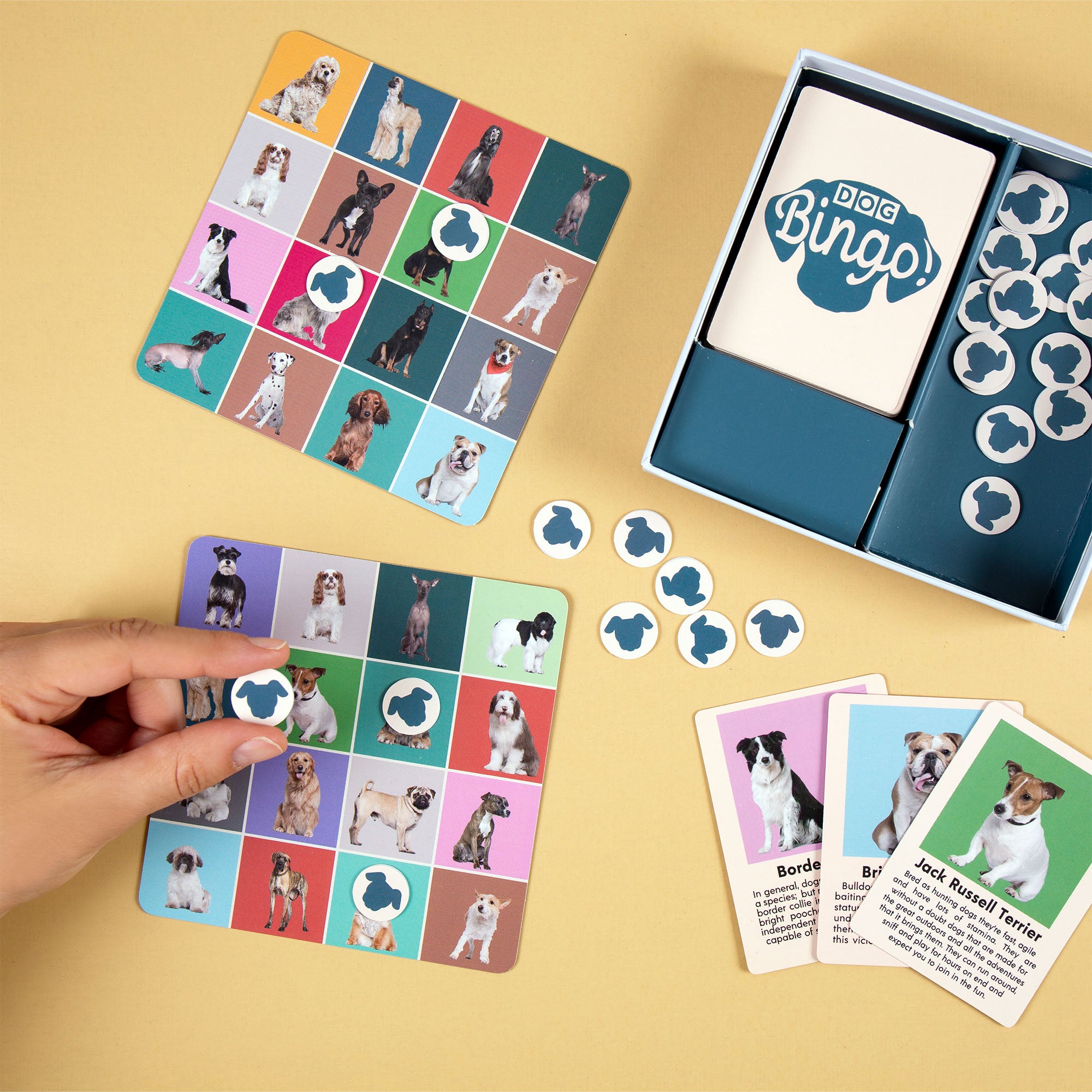 Ultimate Pet Bingo Game: Let's Play with Cats & Dogs