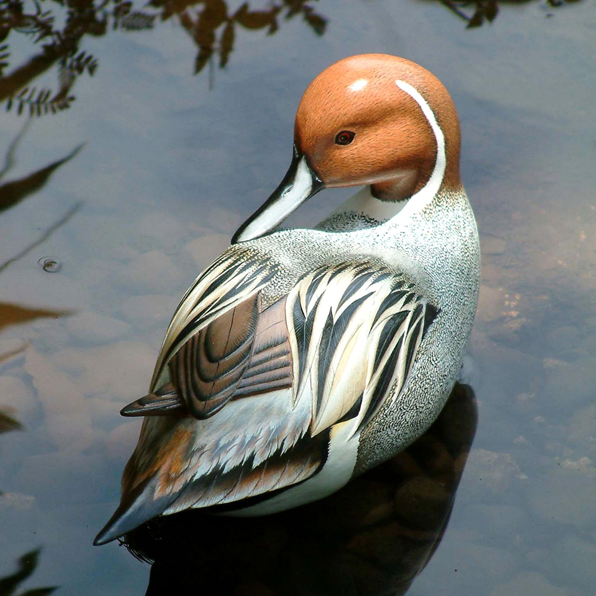 Premium Handcrafted Pintail Duck Sculpture - Balinese Albesia Wood Art