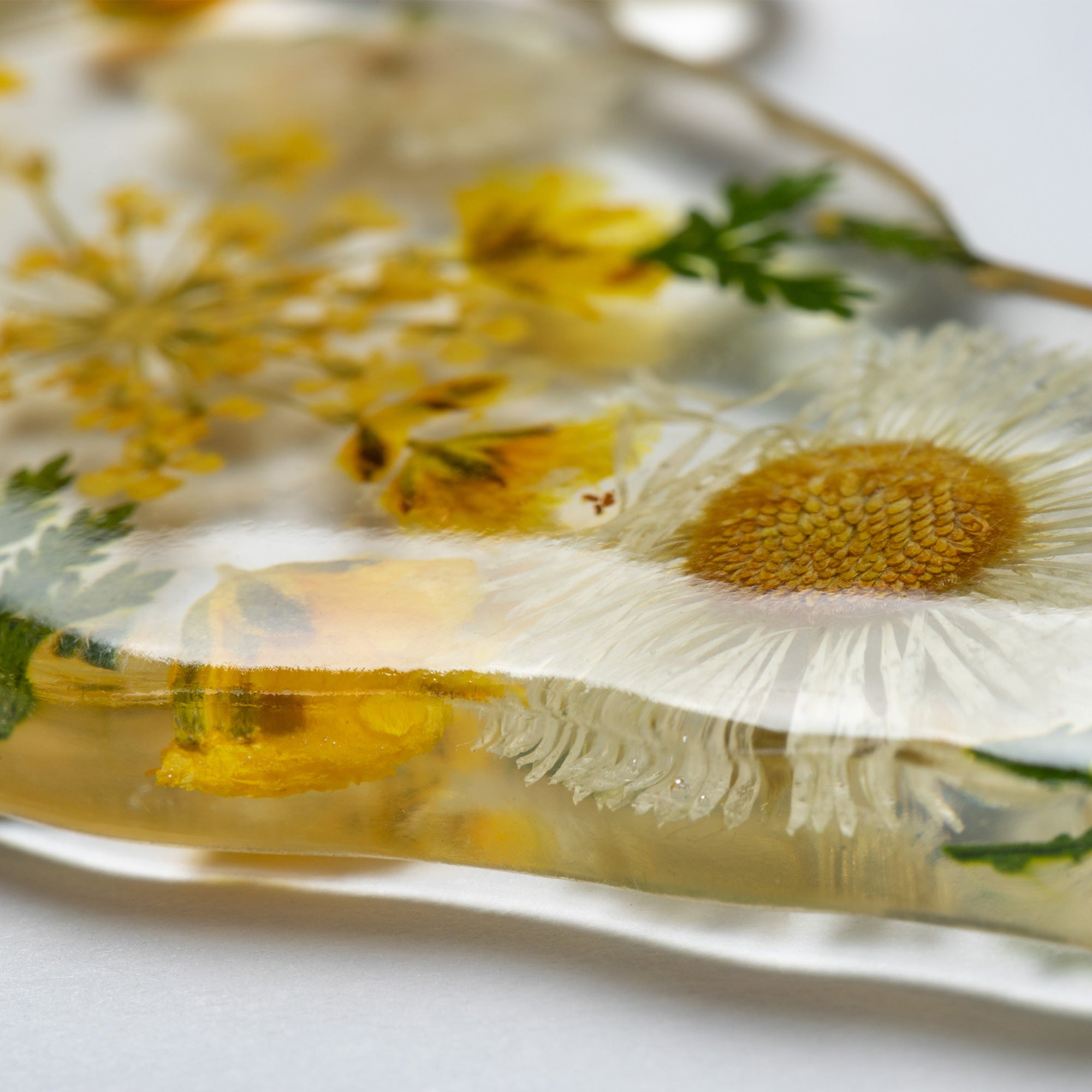 Premium Real Flowers Pet Keychain - Glamorous & Unique