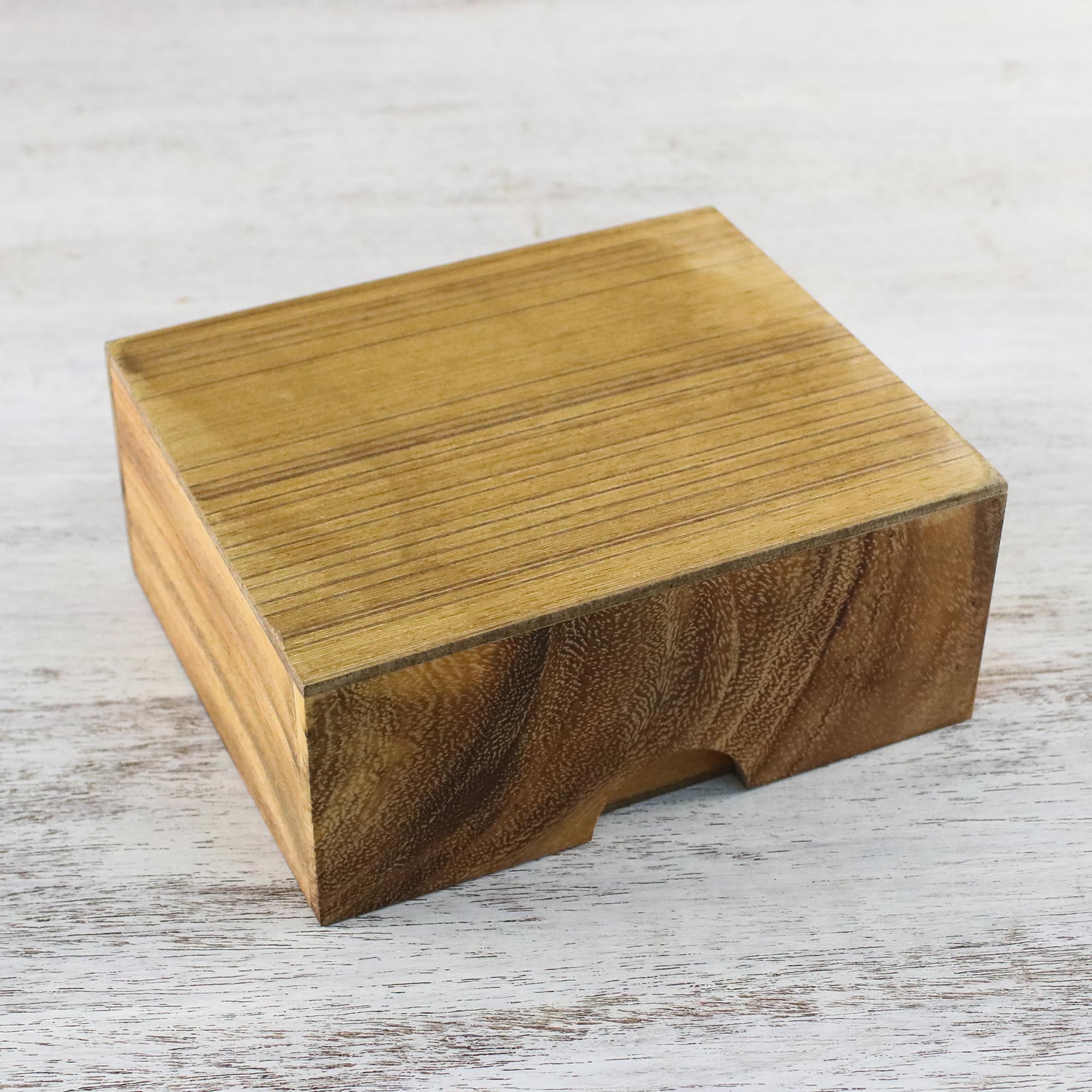 Premium Mini Puzzle Collection: Rainwood Brain Teasers