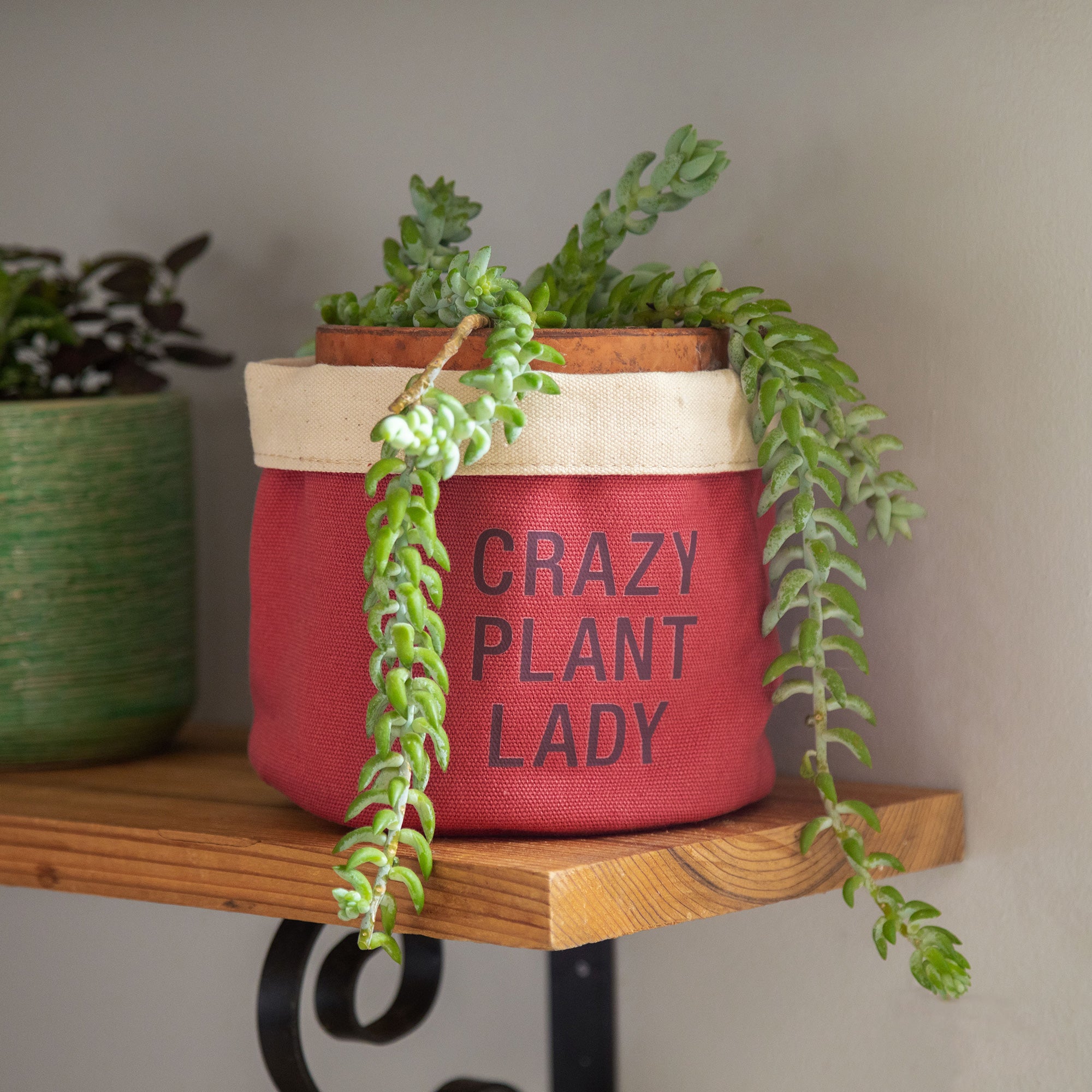 Premium Crazy Plant Lady Indoor Planter Cover - Ultimate Style Upgrade
