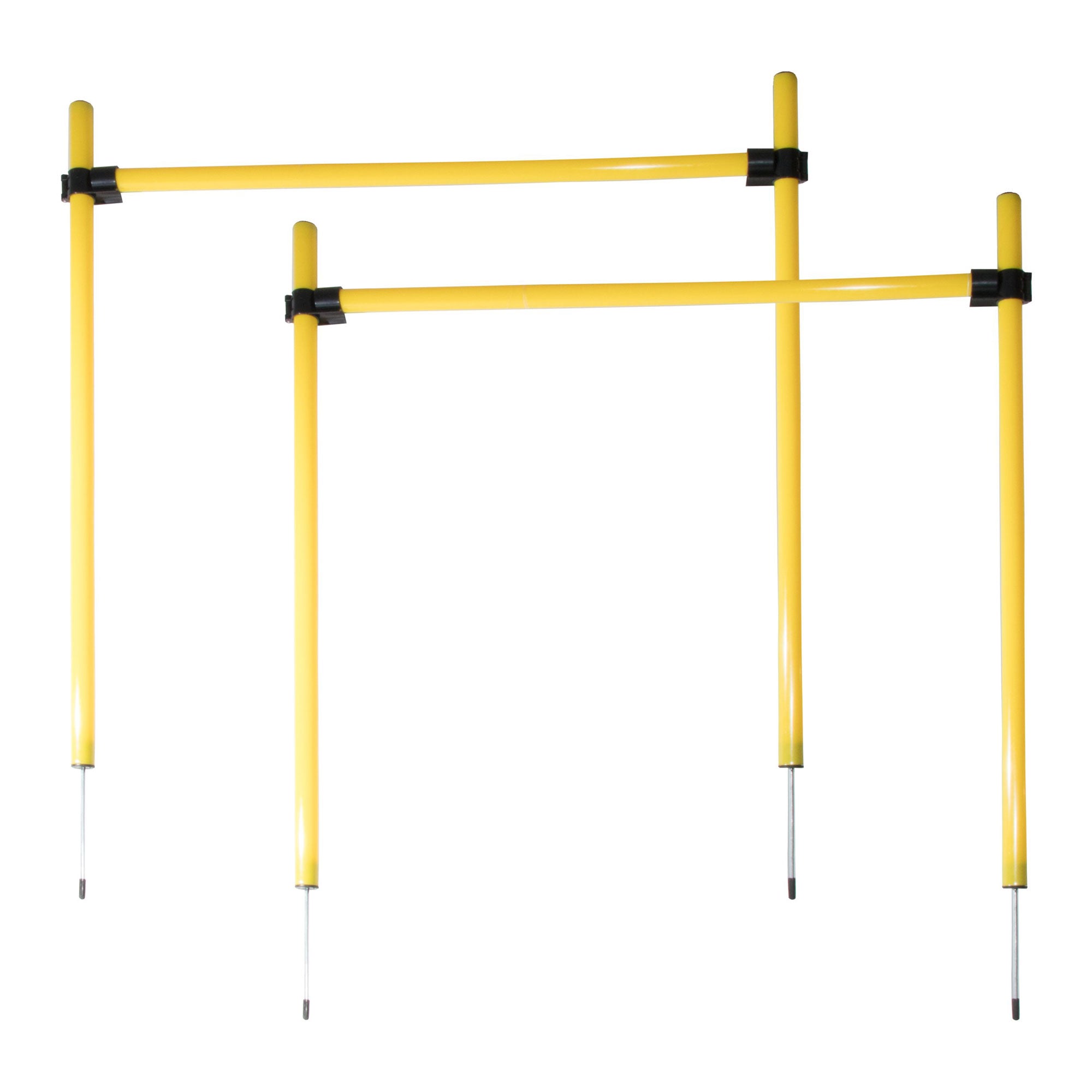 Ultimate Agility Trainer Kit for Dogs - Pet Life
