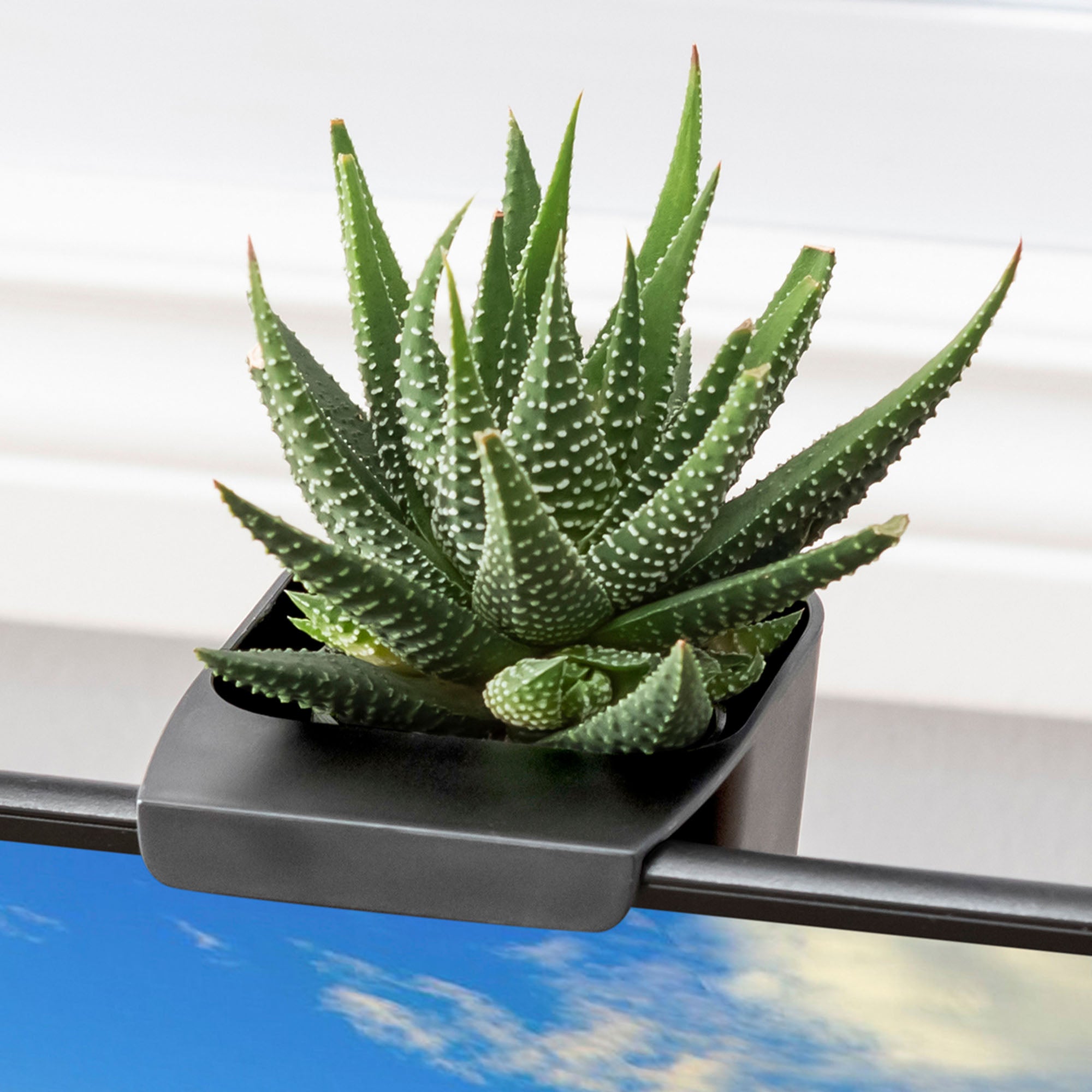 Ultimate Hanging Organizer Pots - Premium Set of 3