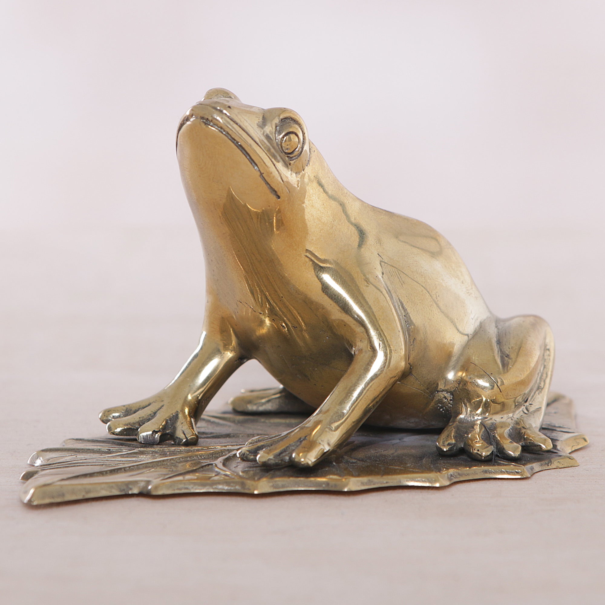 Premium Frog Blessings Bronze Figurine - Handcrafted Home Decor