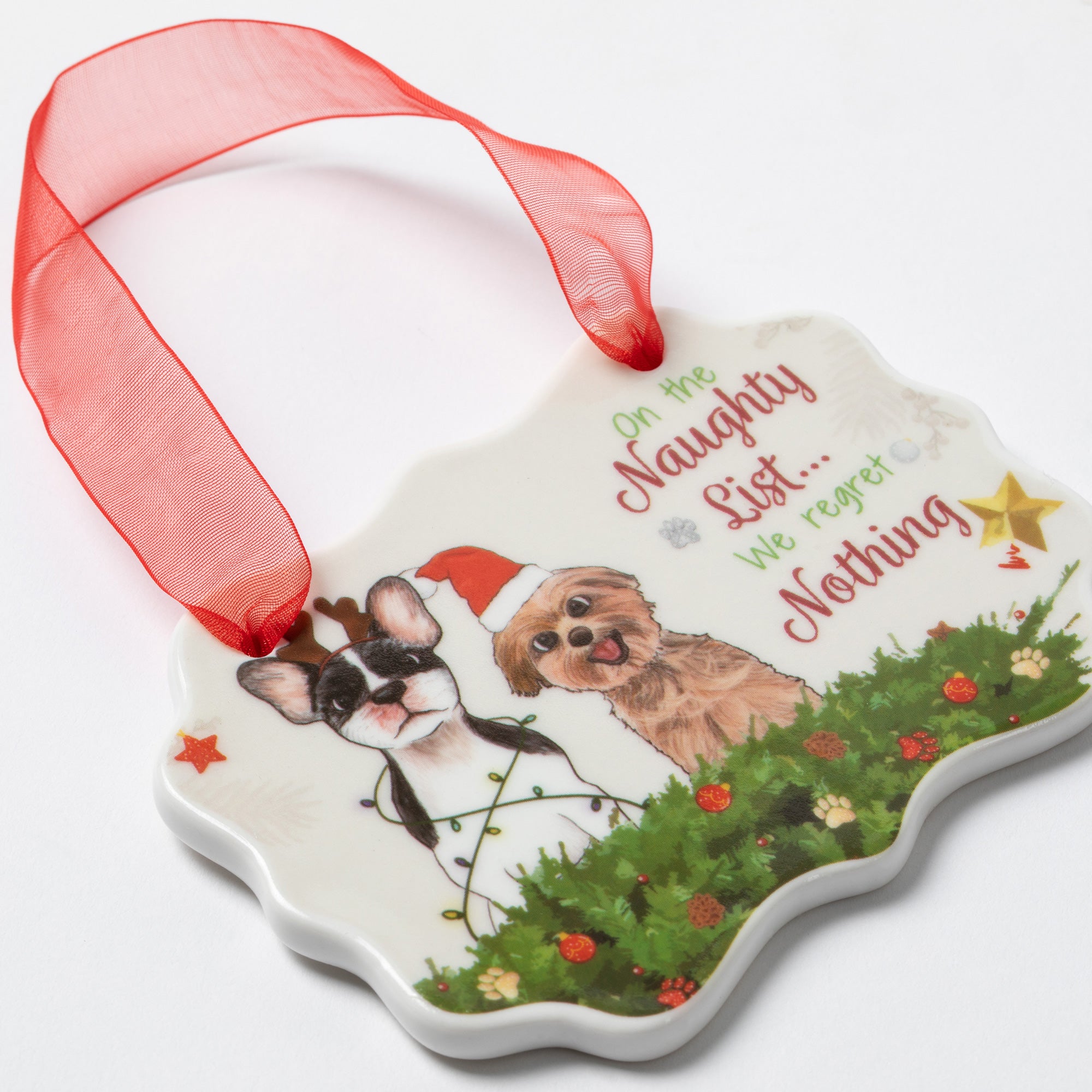 Premium Naughty List Christmas Ornament for Pet Lovers