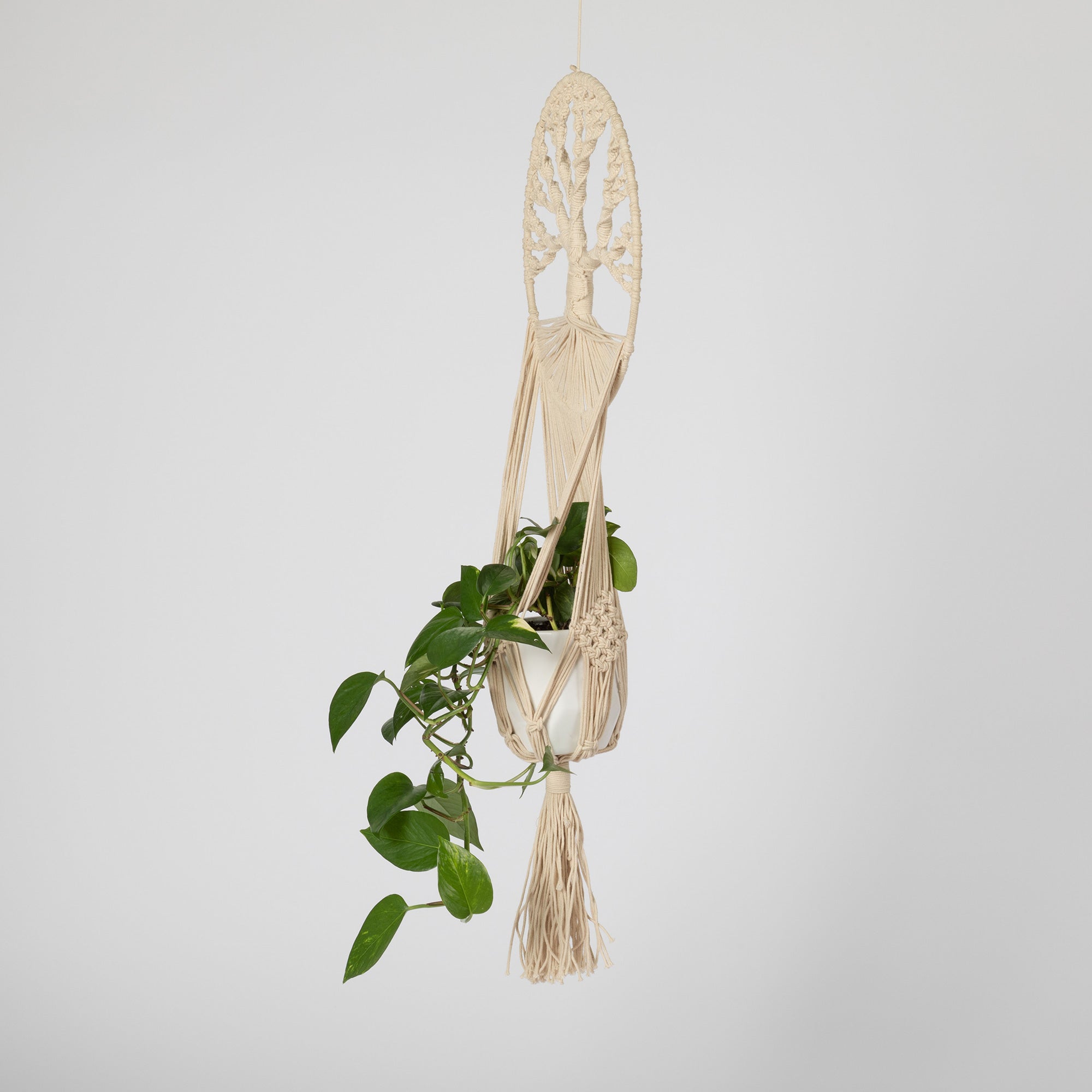 Premium Tree of Life Macrame Plant Hanger - Handmade & Eco-Friendly