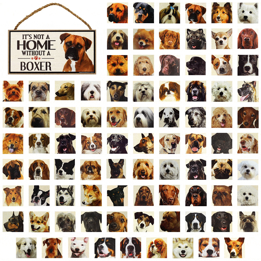 Premium Rustic Dog Lover Sign - 'Home is Where the Dog Is'