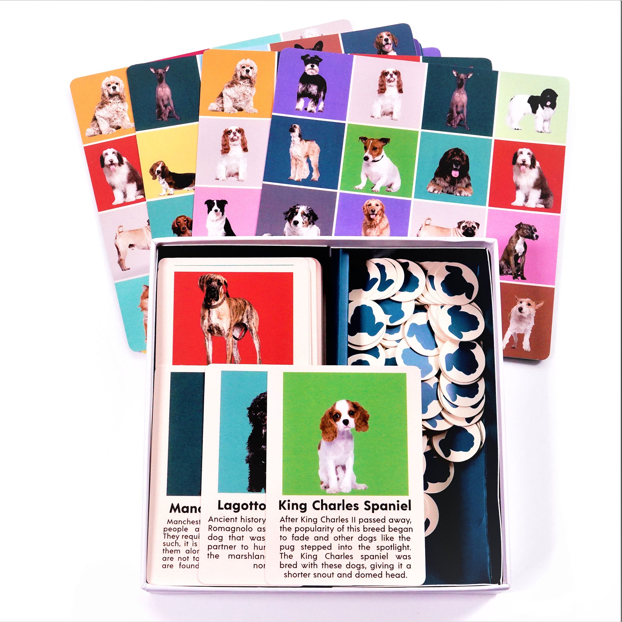 Ultimate Pet Bingo Game: Let's Play with Cats & Dogs