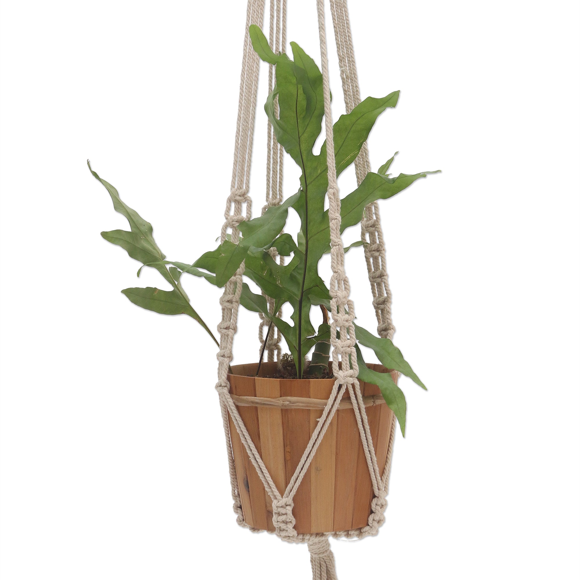 Premium Hand-Knotted Cotton Macrame Plant Hanger – White Elegance from Bali