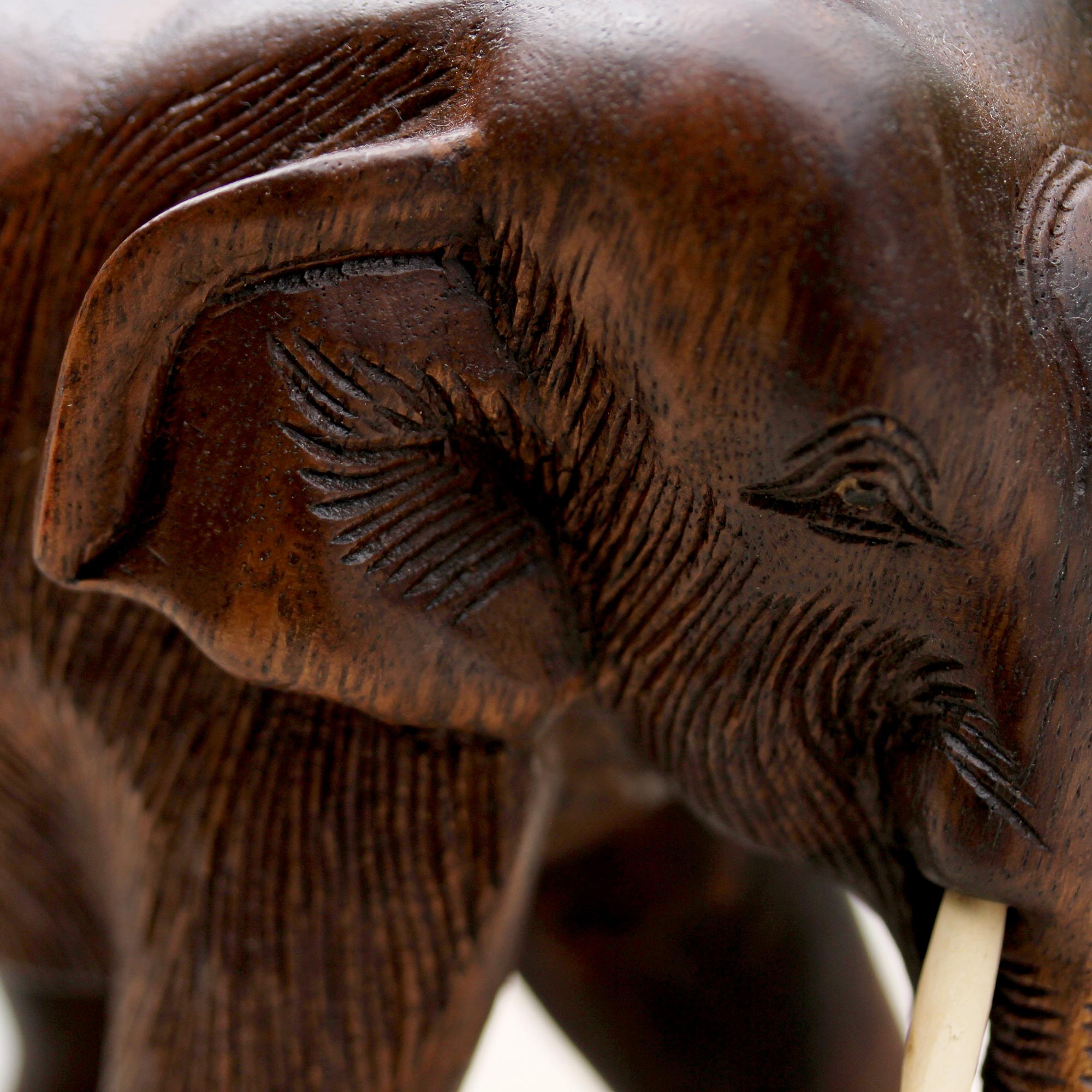 Premium Thai Elephant Handcrafted Sculpture - Rain Tree Wood Art