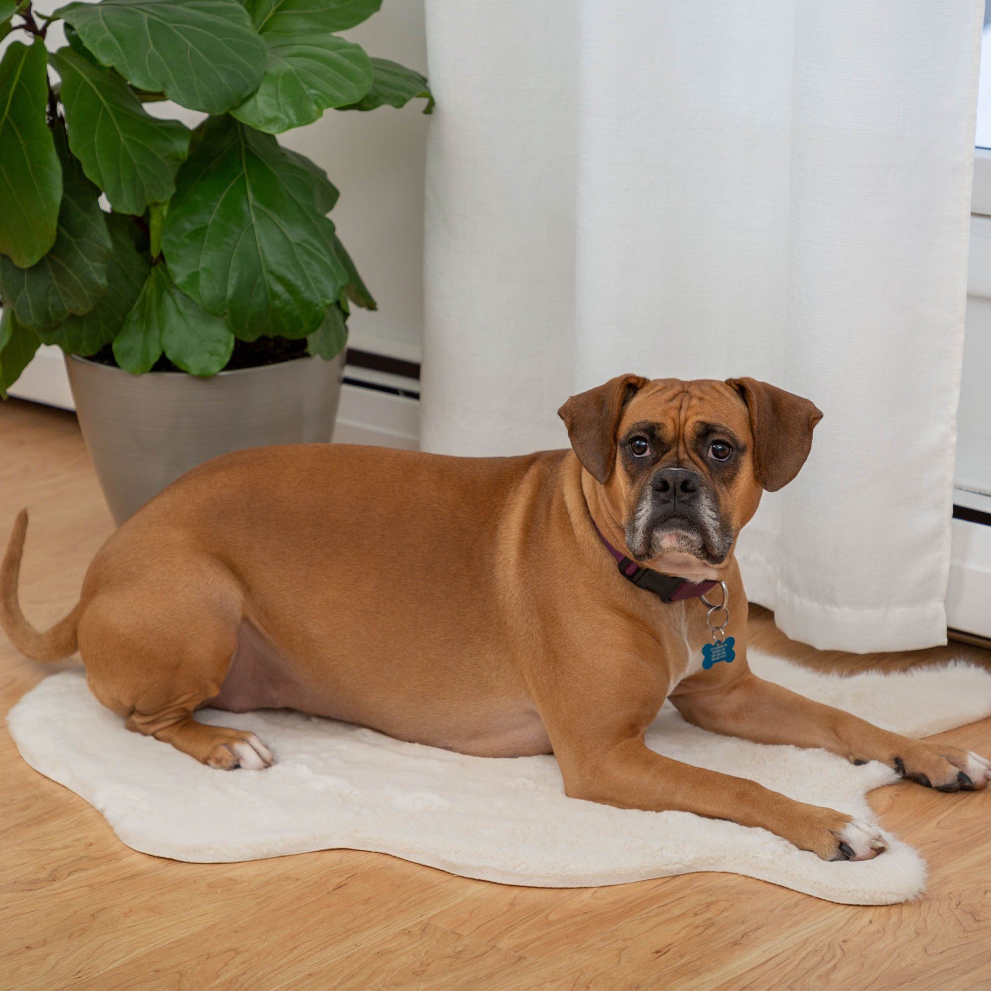 Premium Faux Fur Pet Mat - Ultimate Comfort for Your Furry Friend