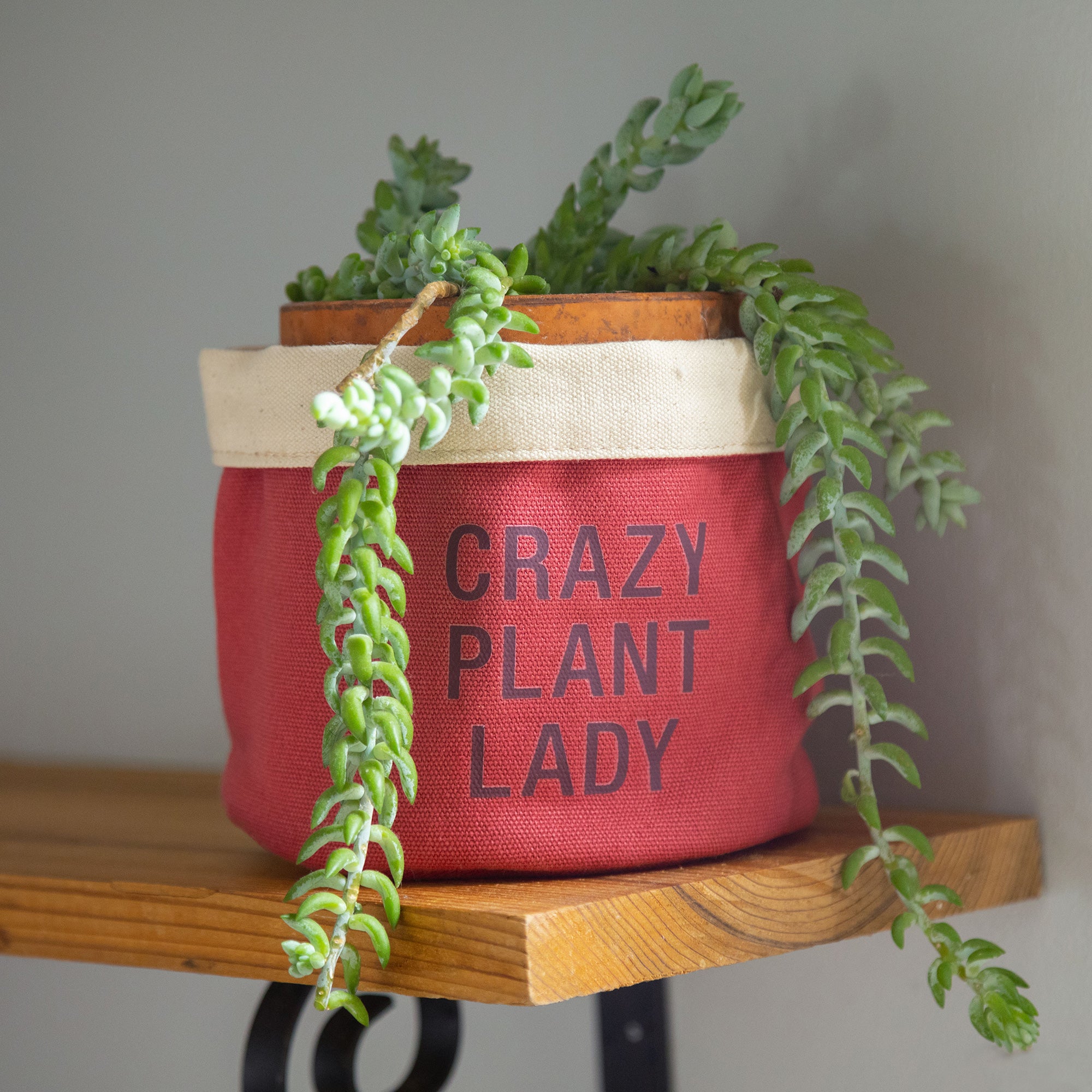 Premium Crazy Plant Lady Indoor Planter Cover - Ultimate Style Upgrade