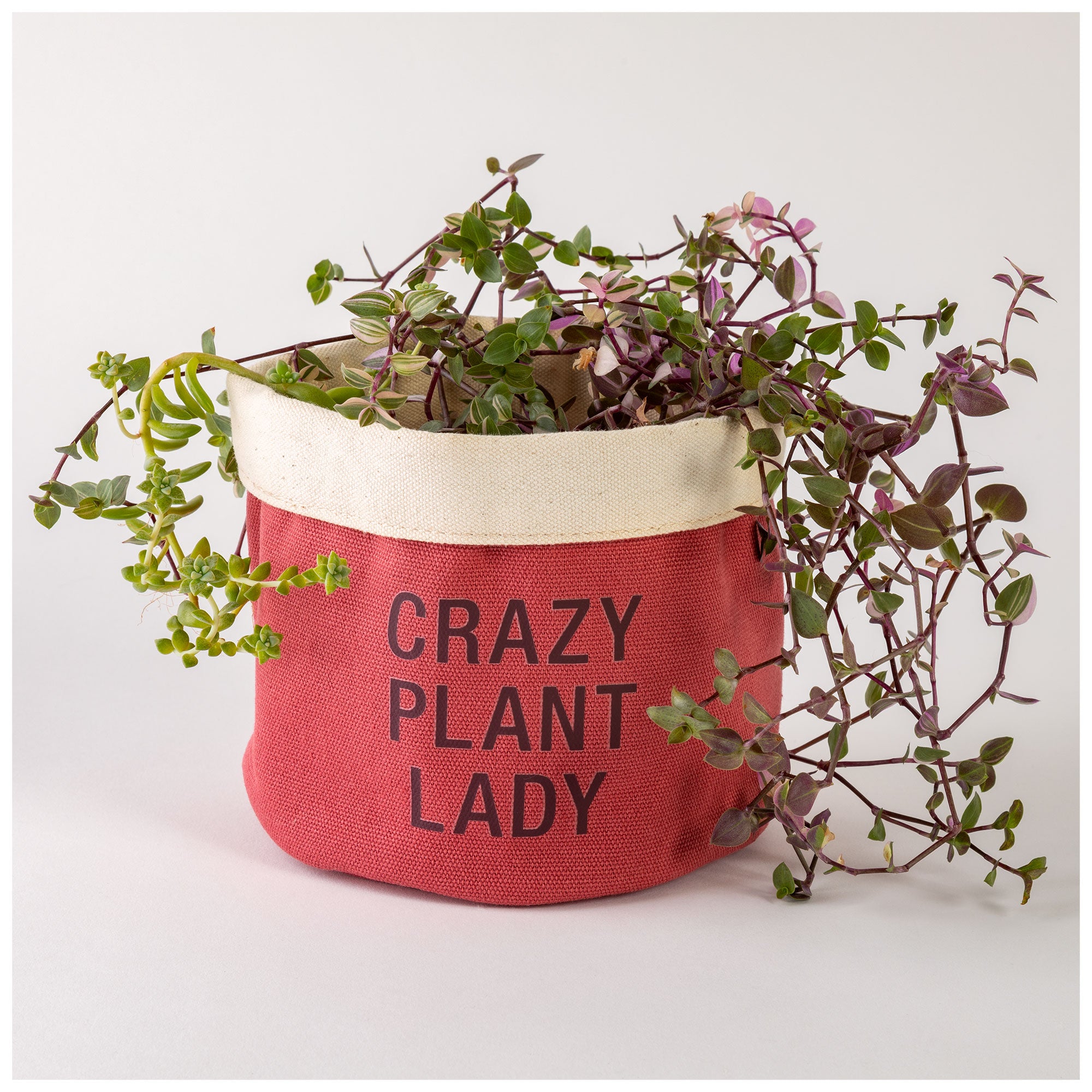 Premium Crazy Plant Lady Indoor Planter Cover - Ultimate Style Upgrade