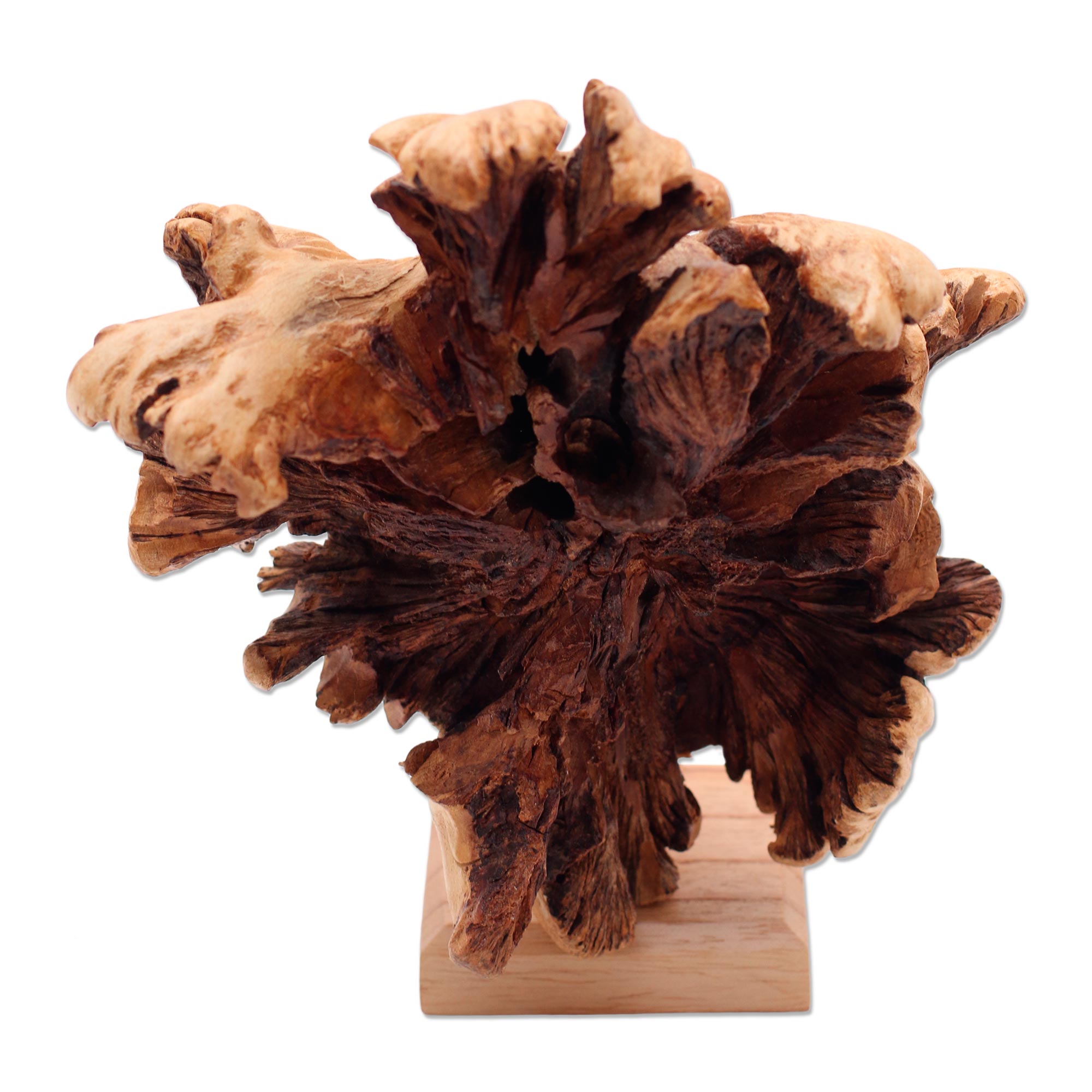 Premium Benalu Wood Lion Sculpture - Handcrafted Artisan Masterpiece