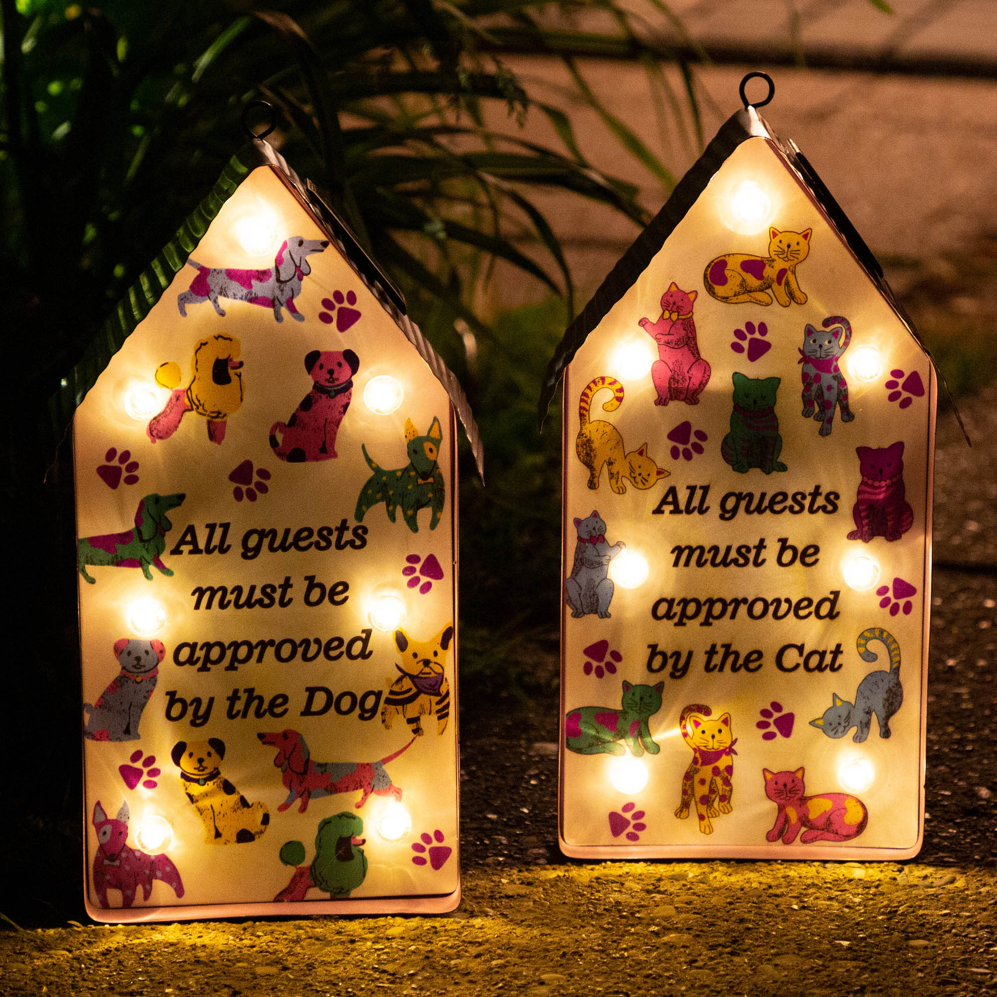 Premium Cat-Approved Solar Light - All Guests Welcome