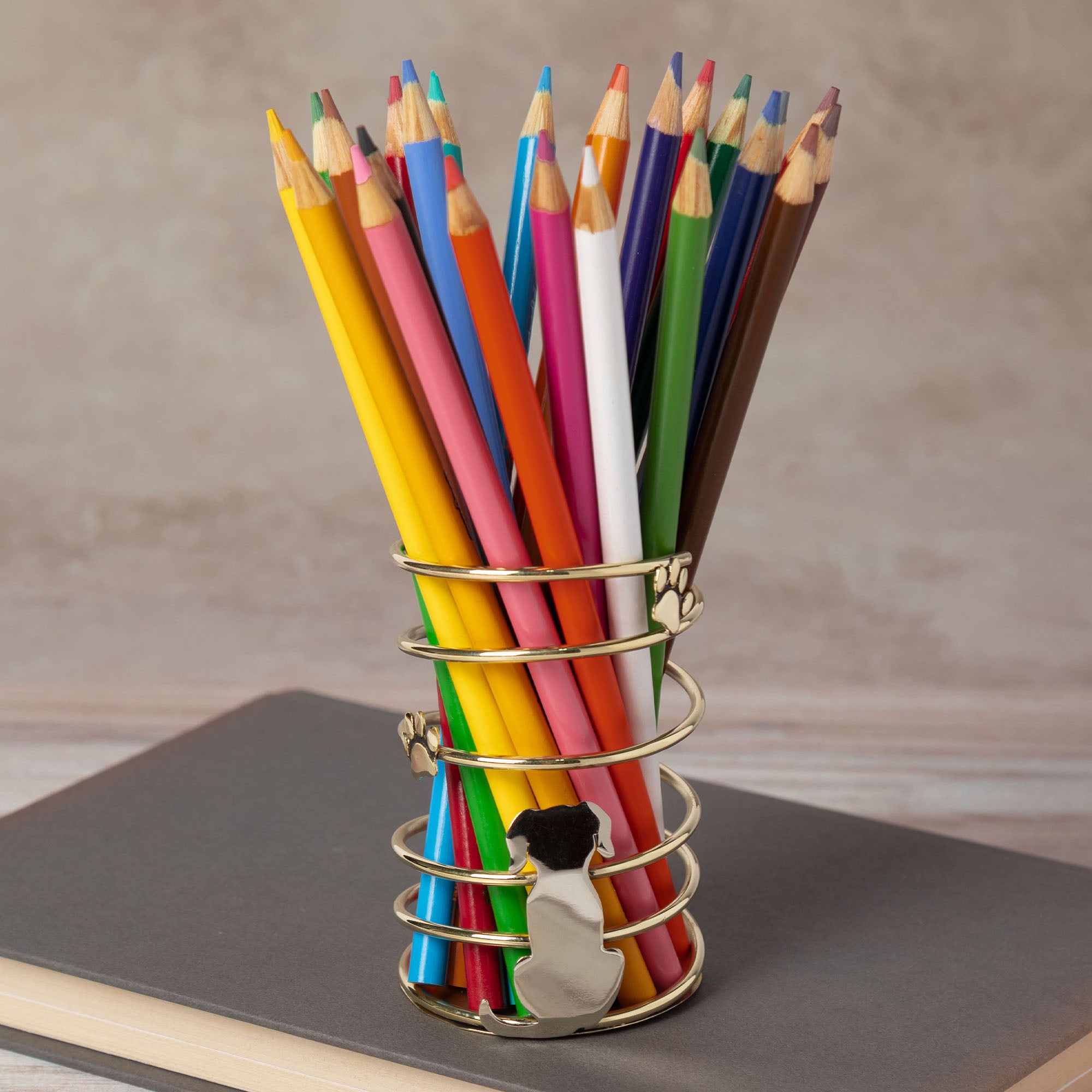 Premium Paw Print Mixed Metal Desk Organizer