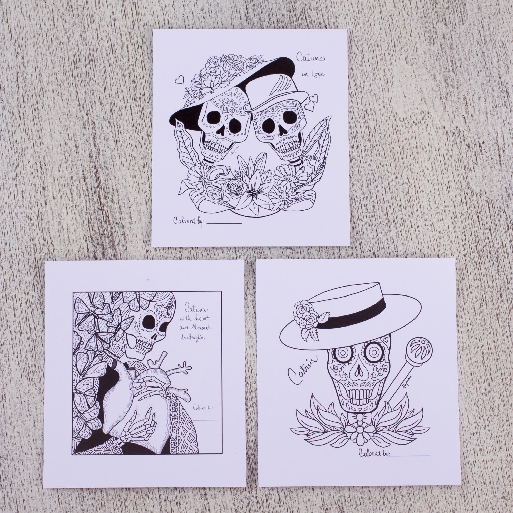 Premium Catrinas of Mexico: Ultimate Day of the Dead Adult Coloring Card Set (10-Pack)