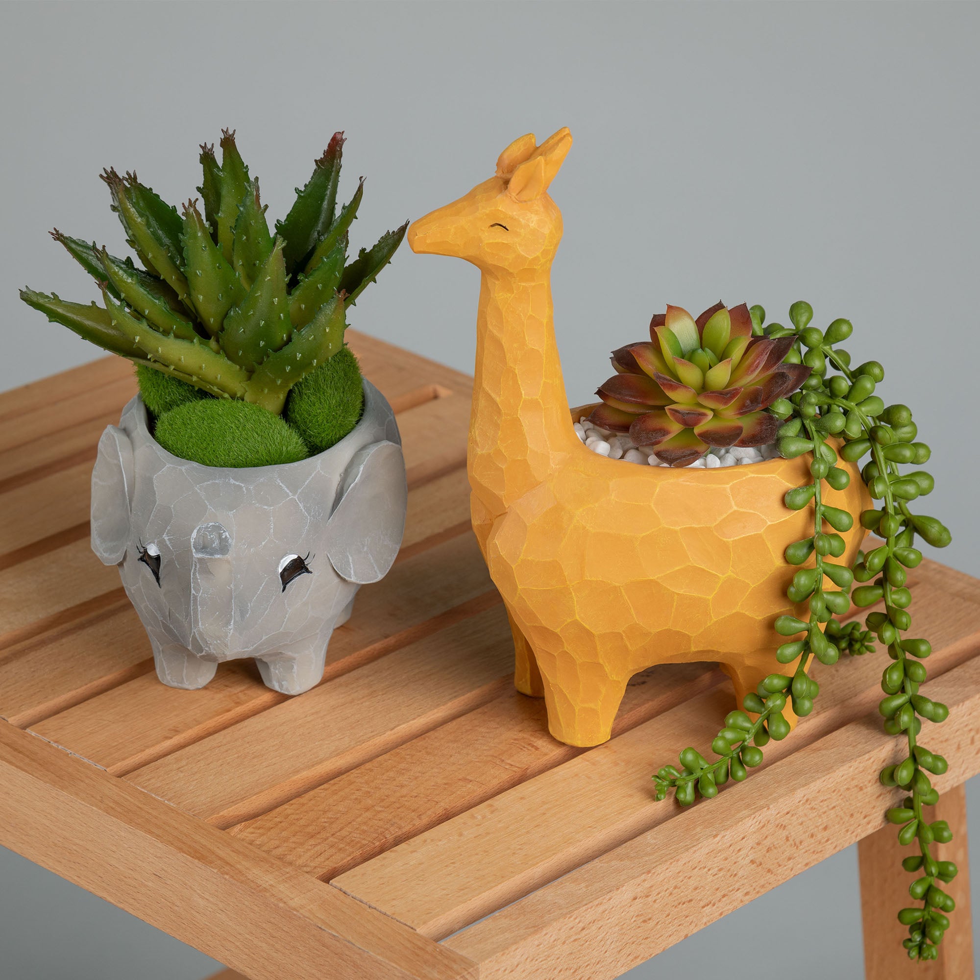 Premium Wild Kingdom Planter - Ultimate Indoor & Outdoor Décor