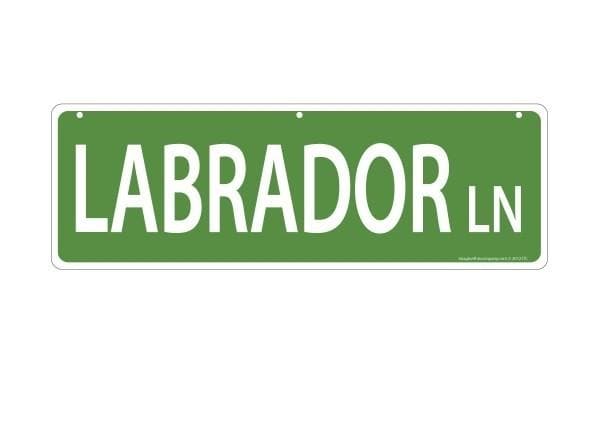 Ultimate Pet-Themed Street Signs – Customizable & Durable