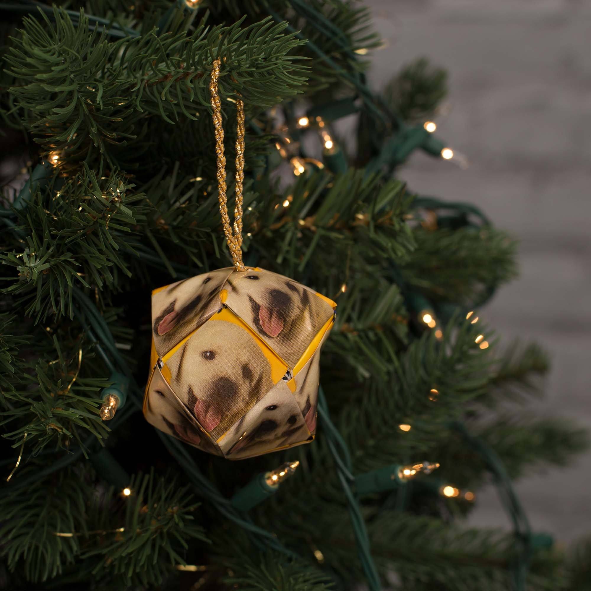 Premium Recycled Dog Food Ornament - Handmade Geometric Design