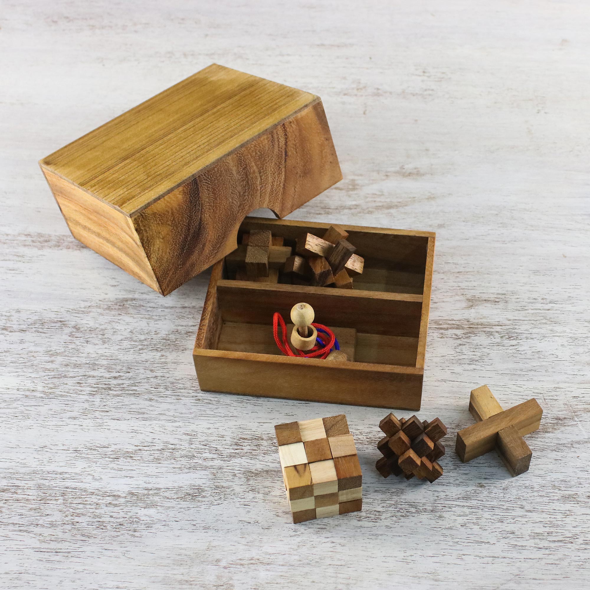 Premium Mini Puzzle Collection: Rainwood Brain Teasers