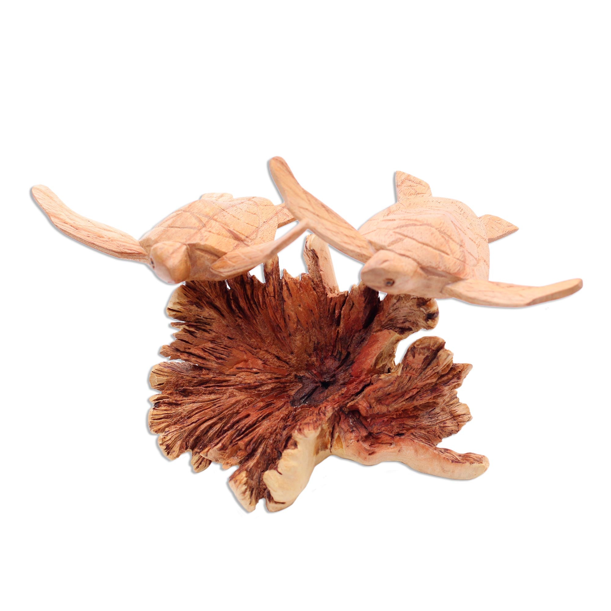 Premium Handcrafted Sea Turtle Sculpture - Jempinis & Benalu Wood Art