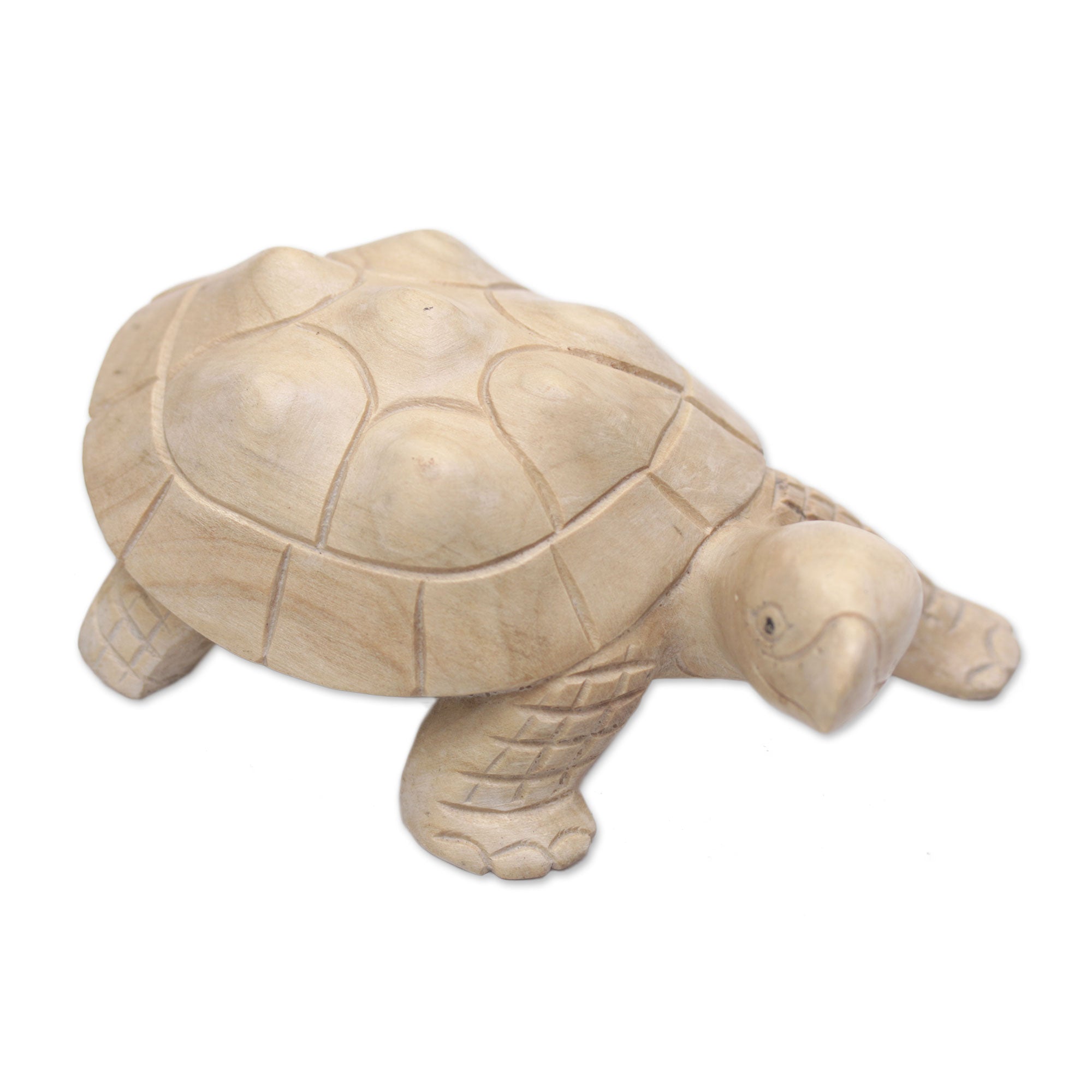 Premium Hand-Carved Terrapin Turtle Statue - Authentic Bali Artisan Craft