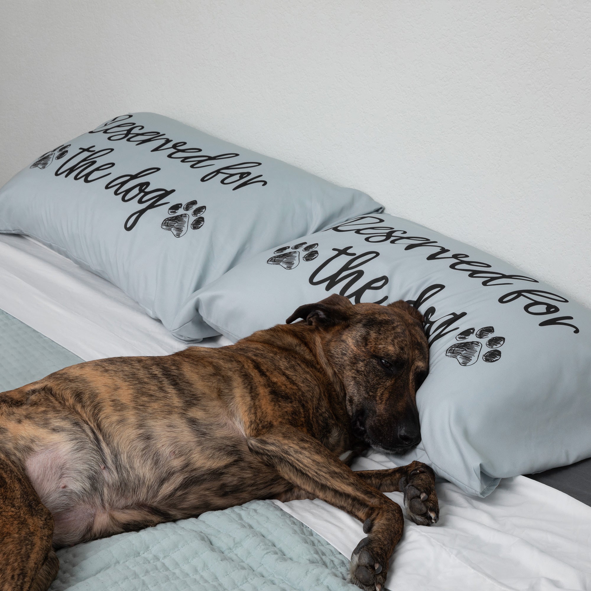 Premium Snuggle Pillowcases for Pet Lovers