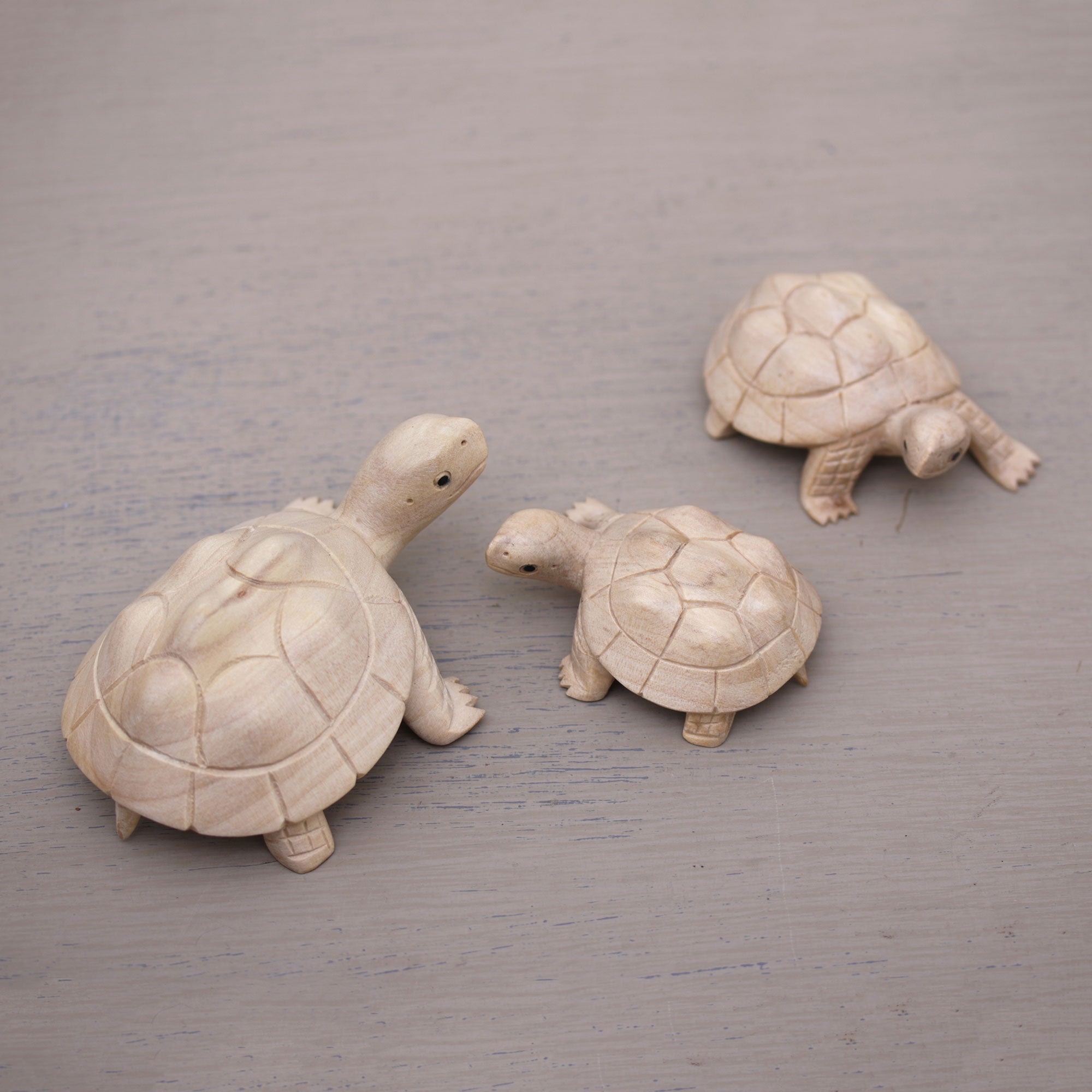 Premium Hand-Carved Terrapin Turtle Trio Statuettes from Bali
