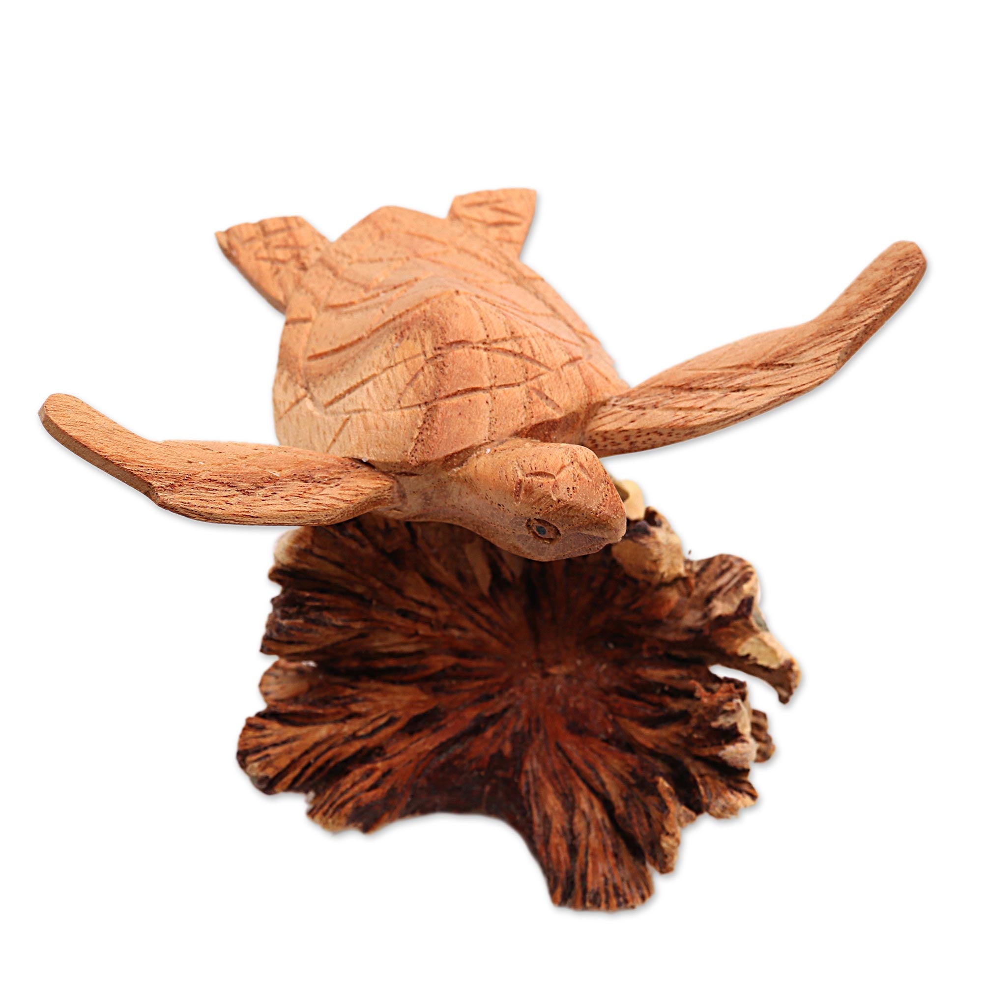 Premium Hand-Carved Sea Turtle Sculpture - Benalu Wood Base from Bali