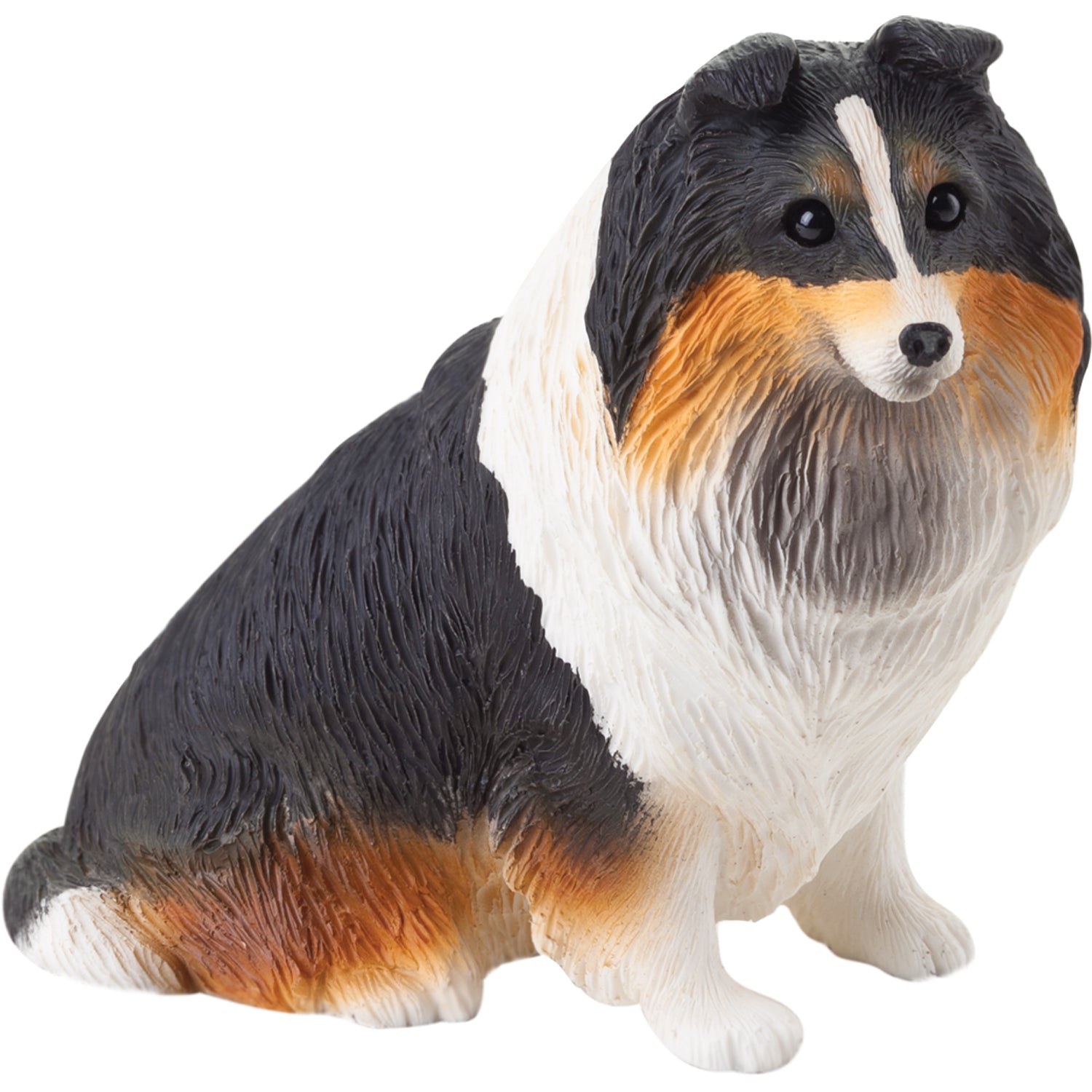 Premium Tri Shetland Sheepdog Sculpture - Handcrafted Realism