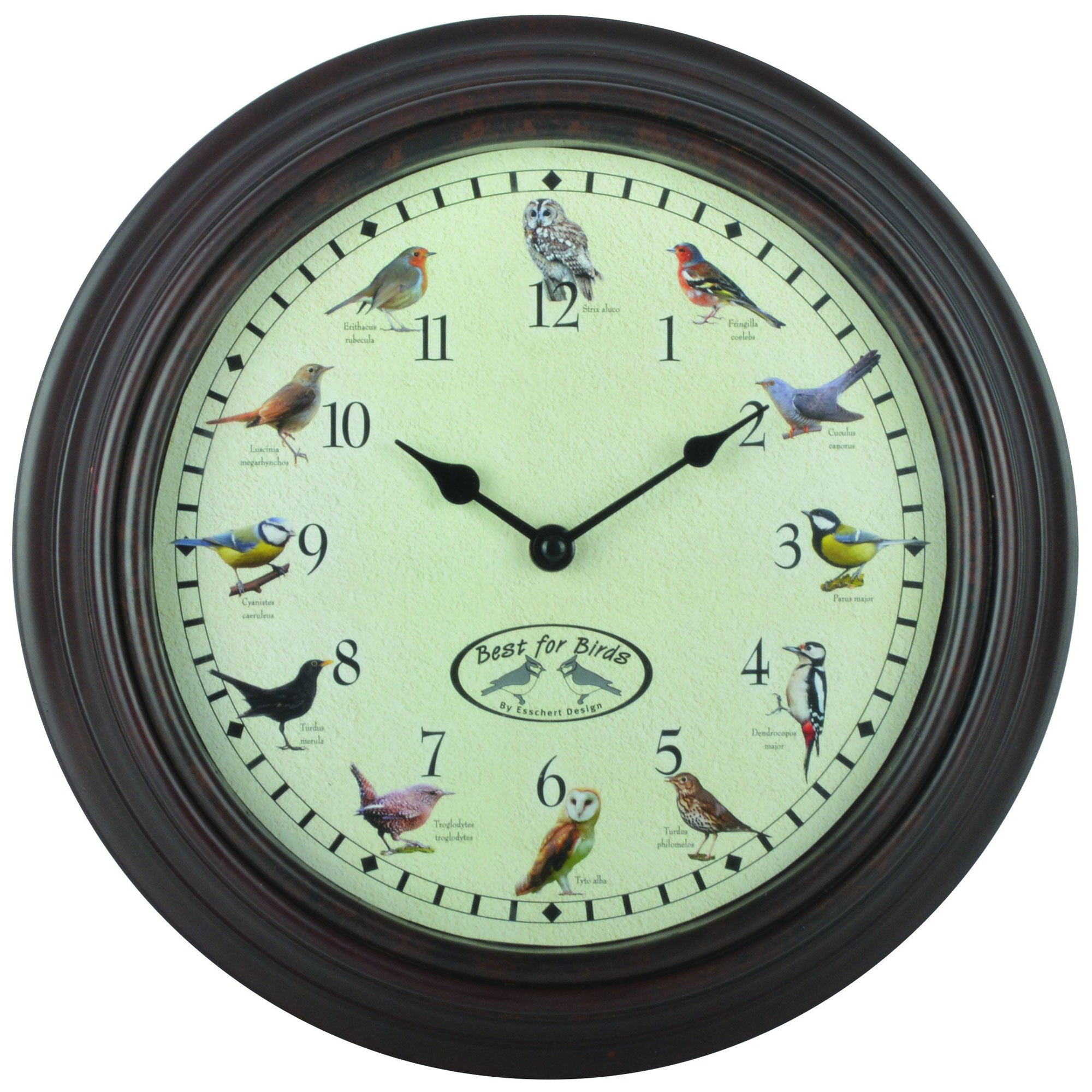 Ultimate Bird Sounds Alarm Clock