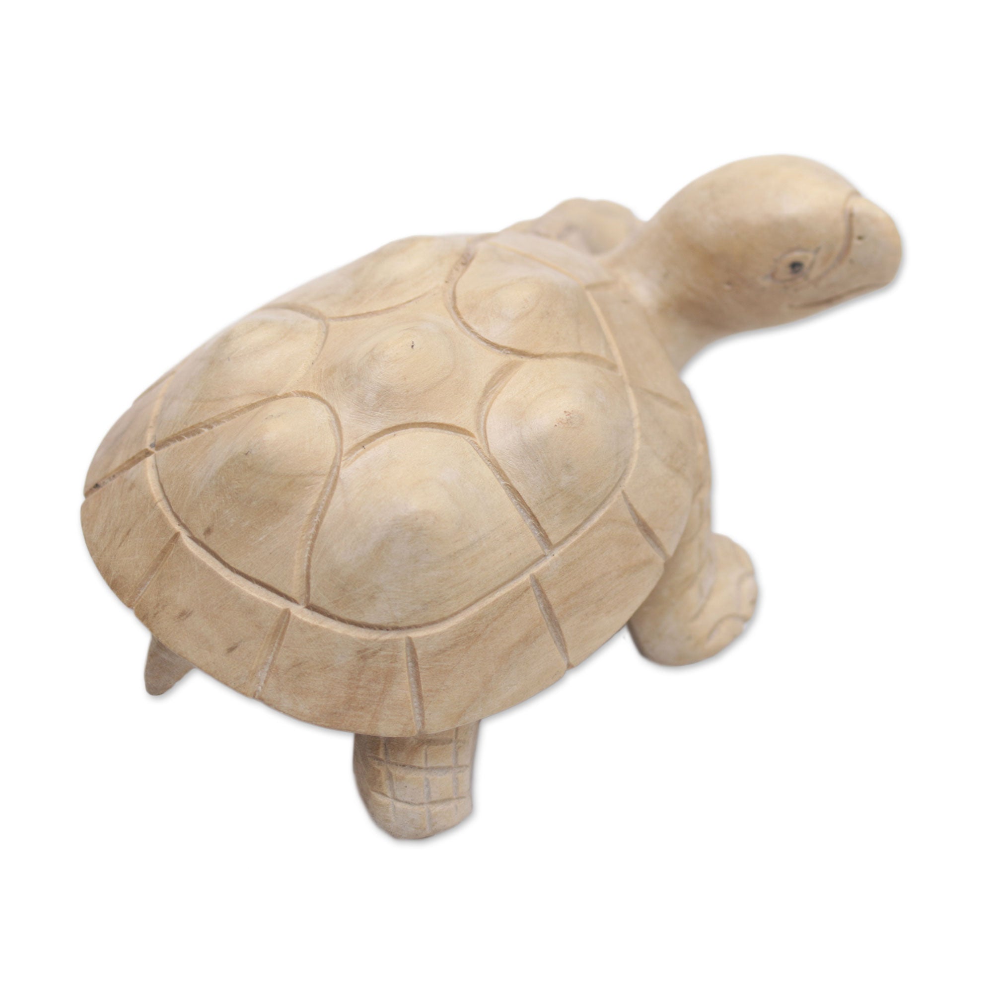 Premium Hand-Carved Terrapin Turtle Statue - Authentic Bali Artisan Craft