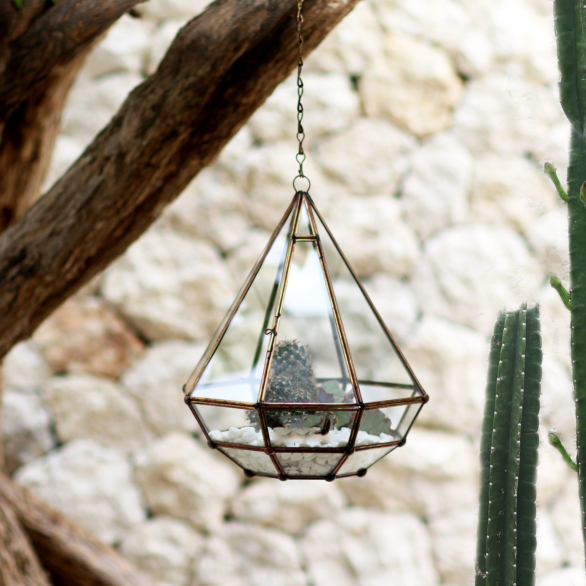 Premium Taman Keraton Handmade Javanese Glass and Brass Hanging Plant Terrarium - Elevate Your Indoor Garden