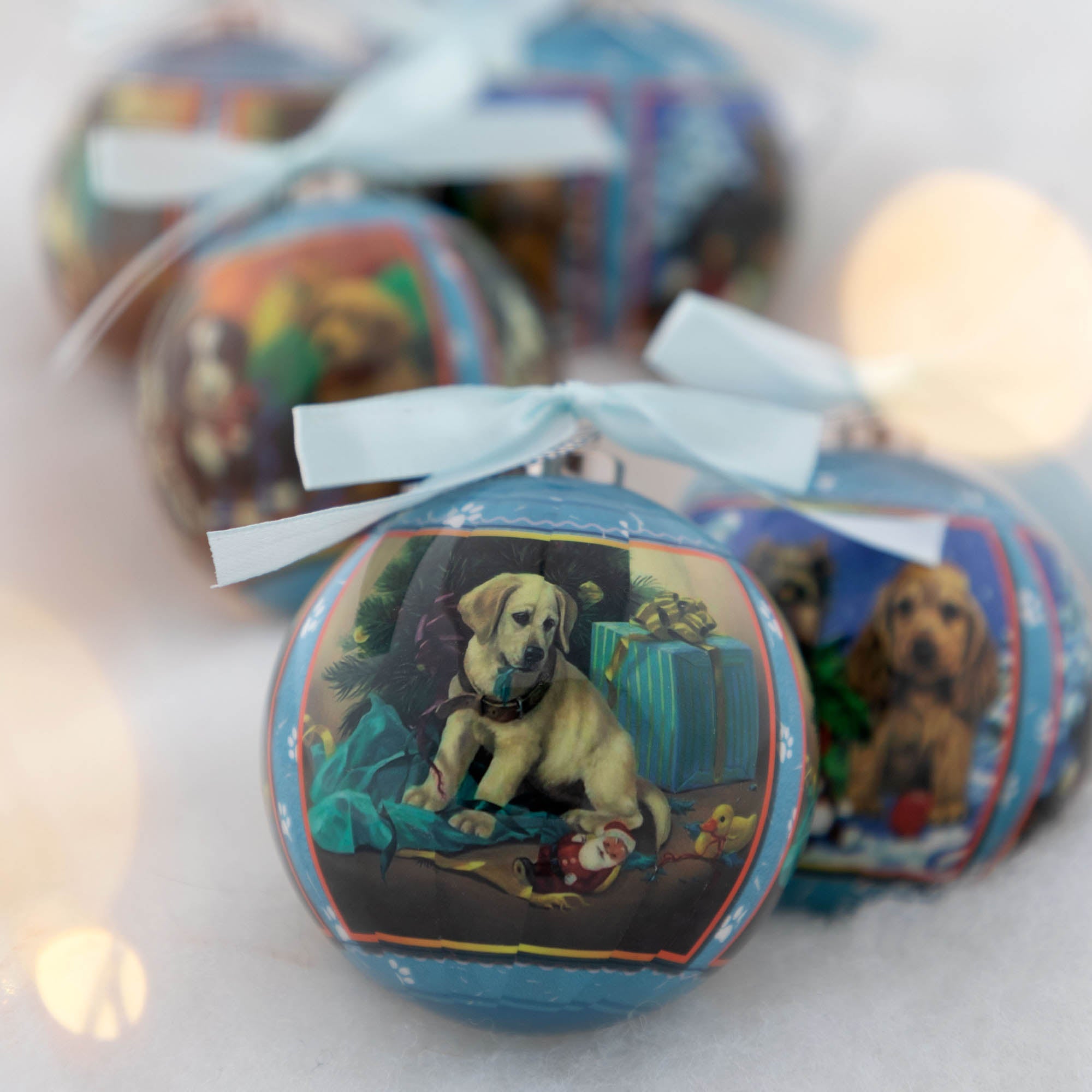 Premium Pet Lovers Christmas Ornament Set - 6 Piece Collection