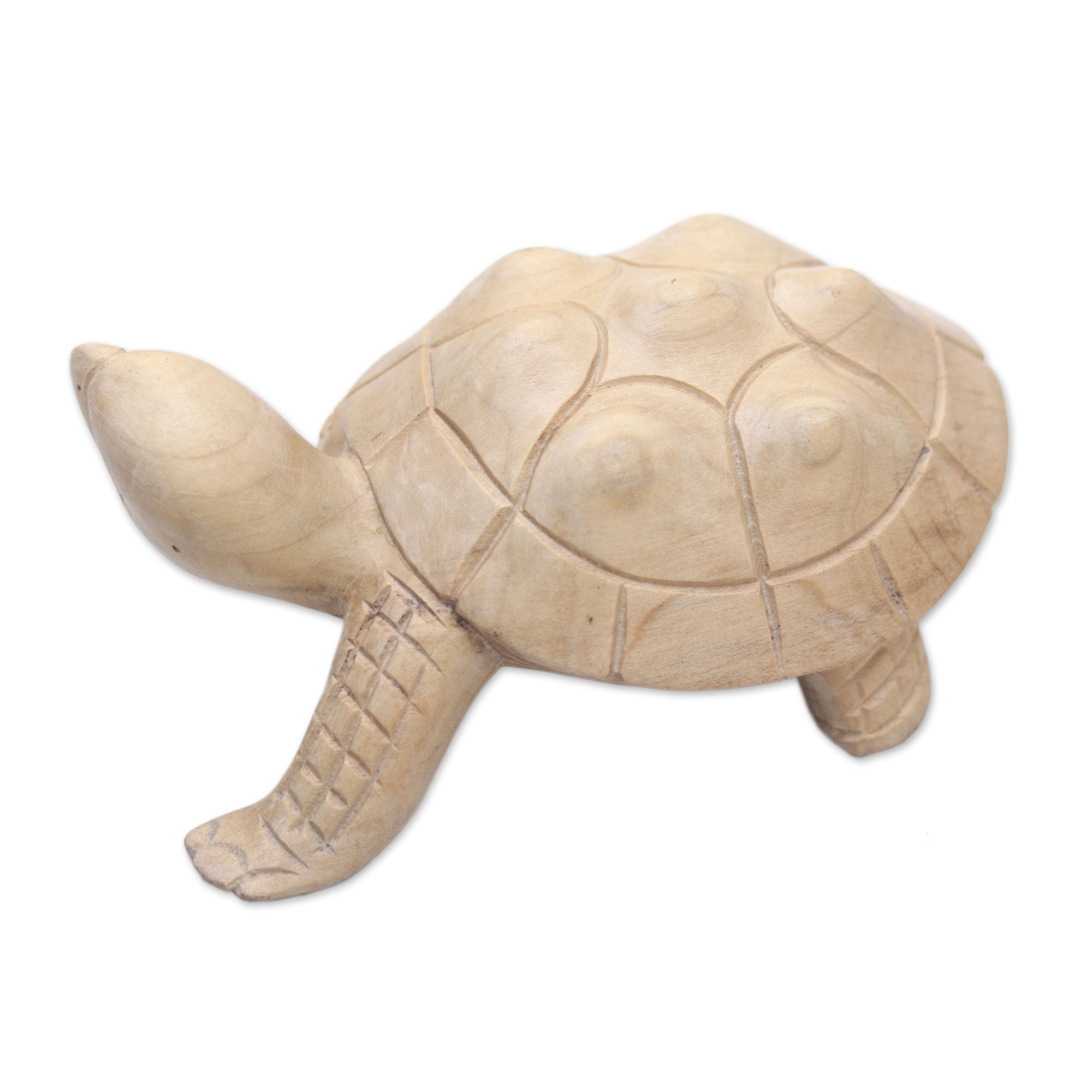 Premium Hand-Carved Terrapin Turtle Statue - Authentic Bali Artisan Craft