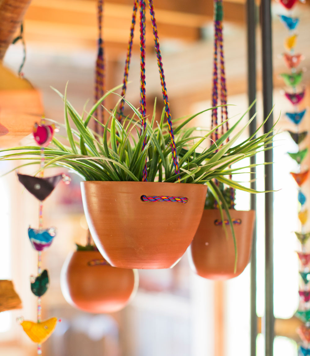 Premium Twist Hanging Planter - Handcrafted Greenery Upgrade