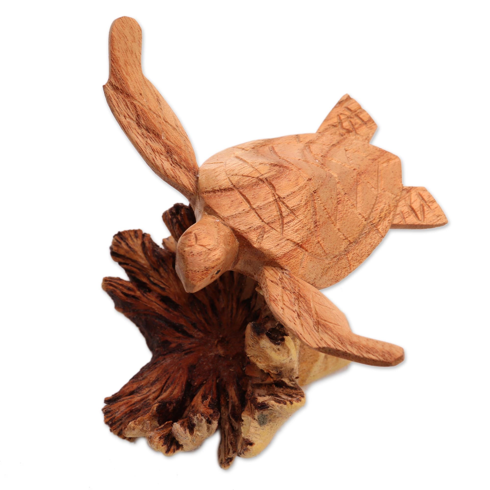 Premium Hand-Carved Sea Turtle Sculpture - Benalu Wood Base from Bali