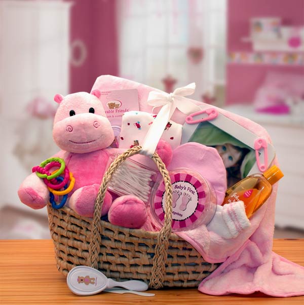 Premium Baby Carrier Gift Set - Pink