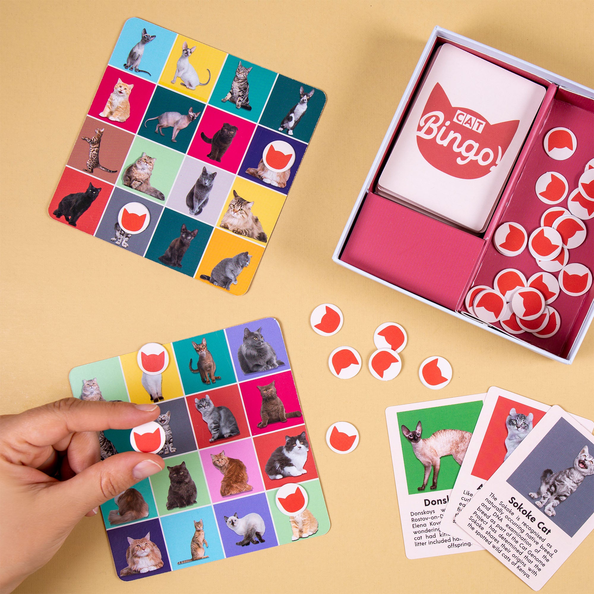 Ultimate Pet Bingo Game: Let's Play with Cats & Dogs