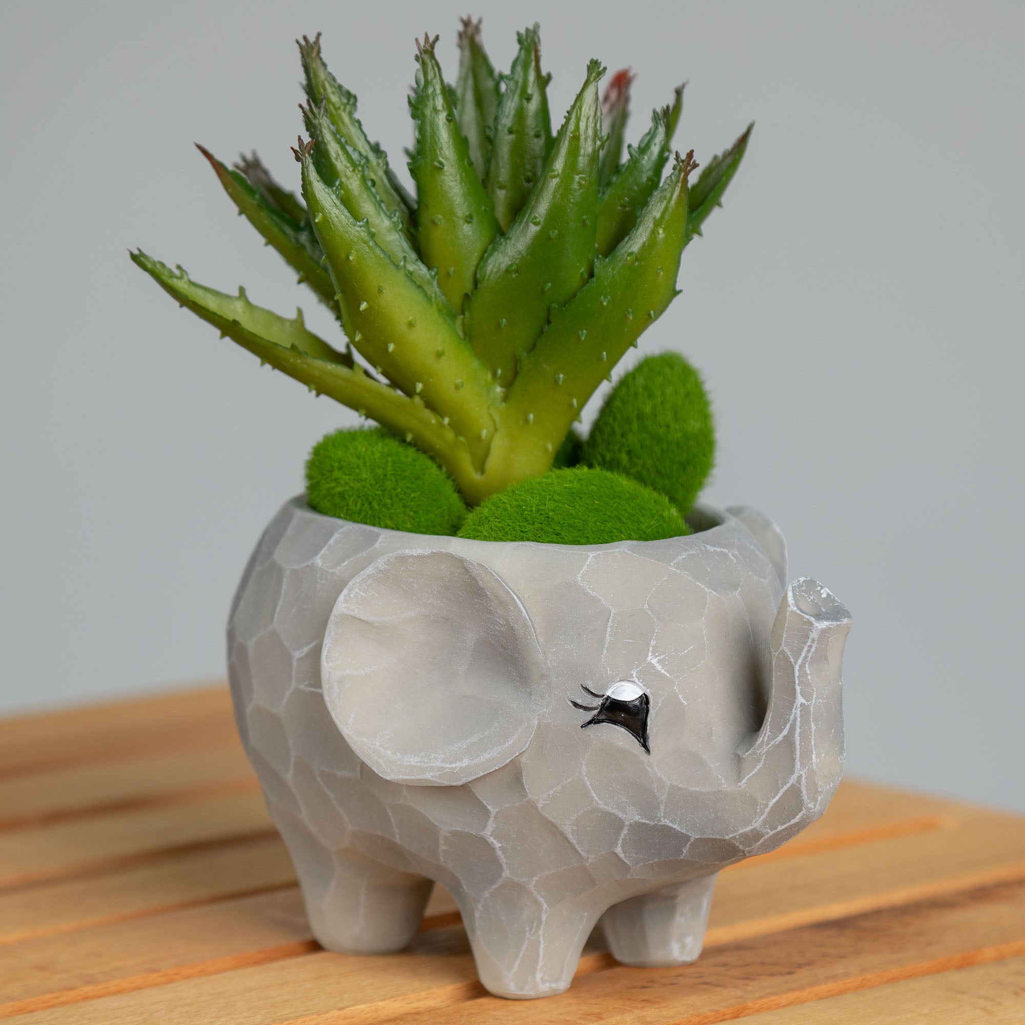 Premium Wild Kingdom Planter - Ultimate Indoor & Outdoor Décor